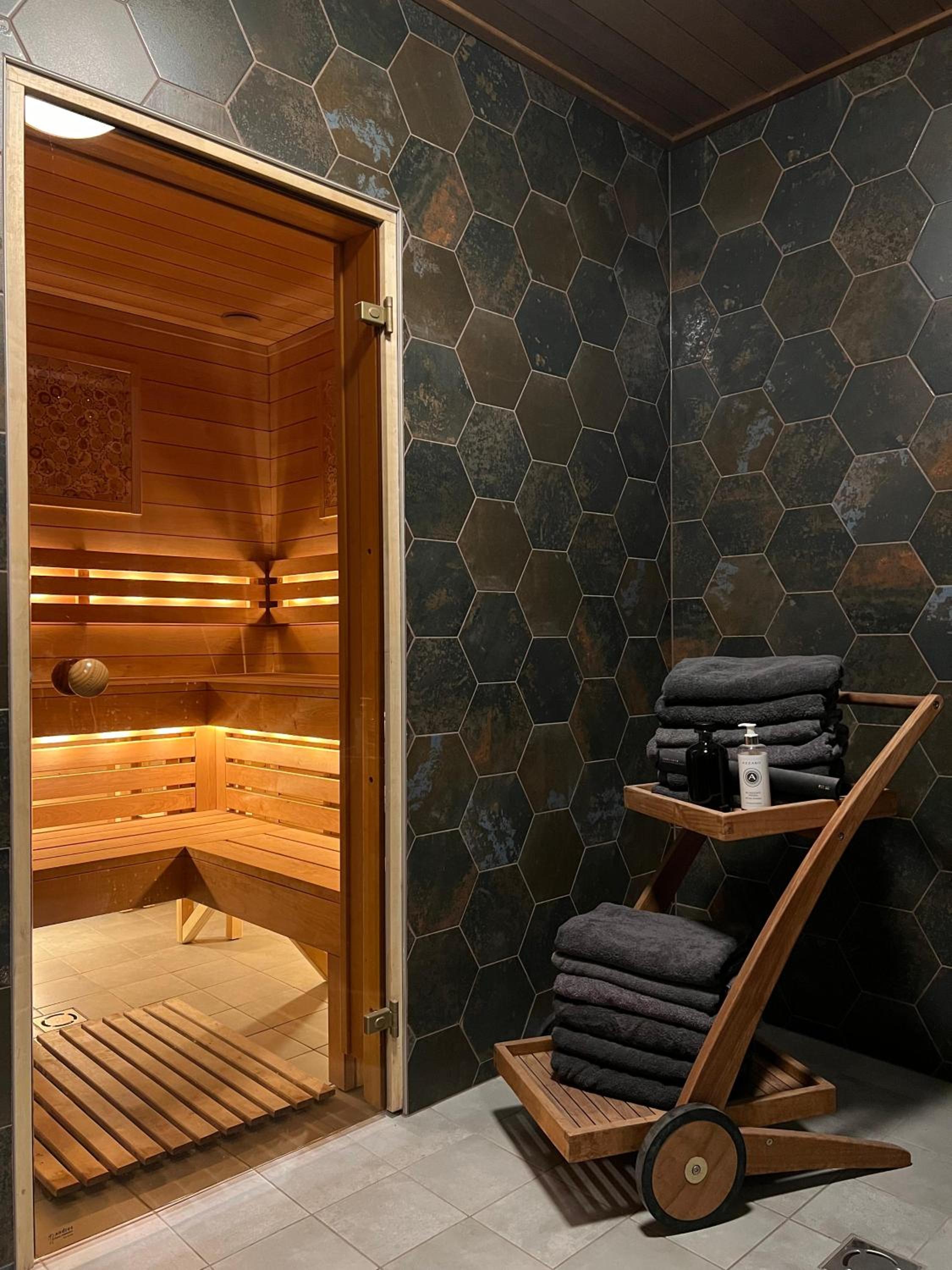 Family Room with Sauna - Photo 7