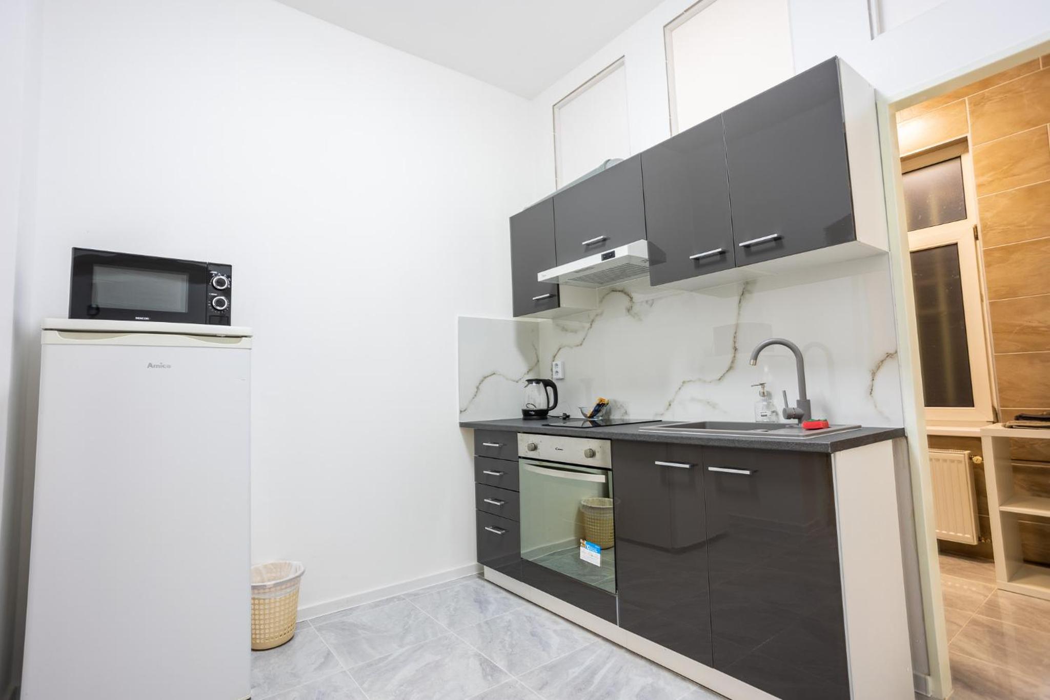 One-Bedroom Apartment photo 3