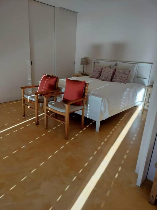 One-Bedroom Apartment - Photo 1