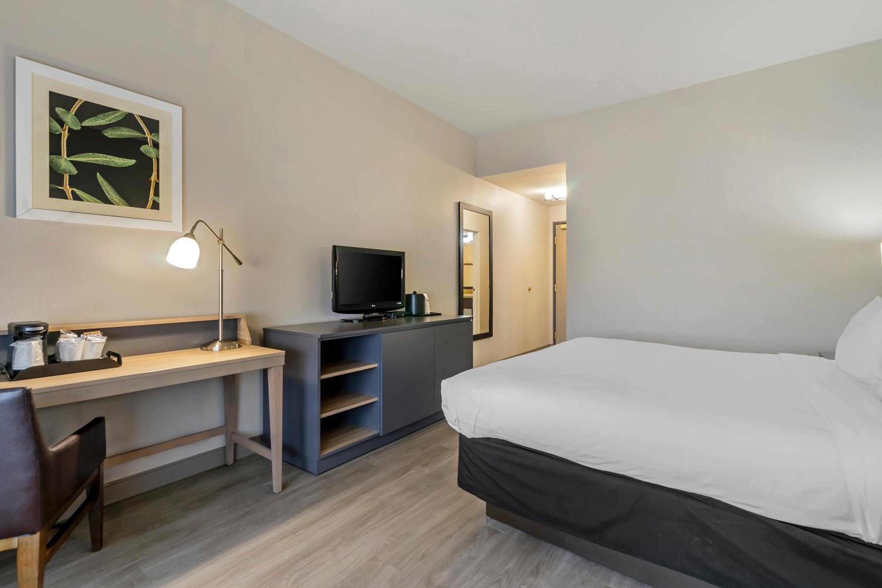King Room - Non-Smoking - Photo 4