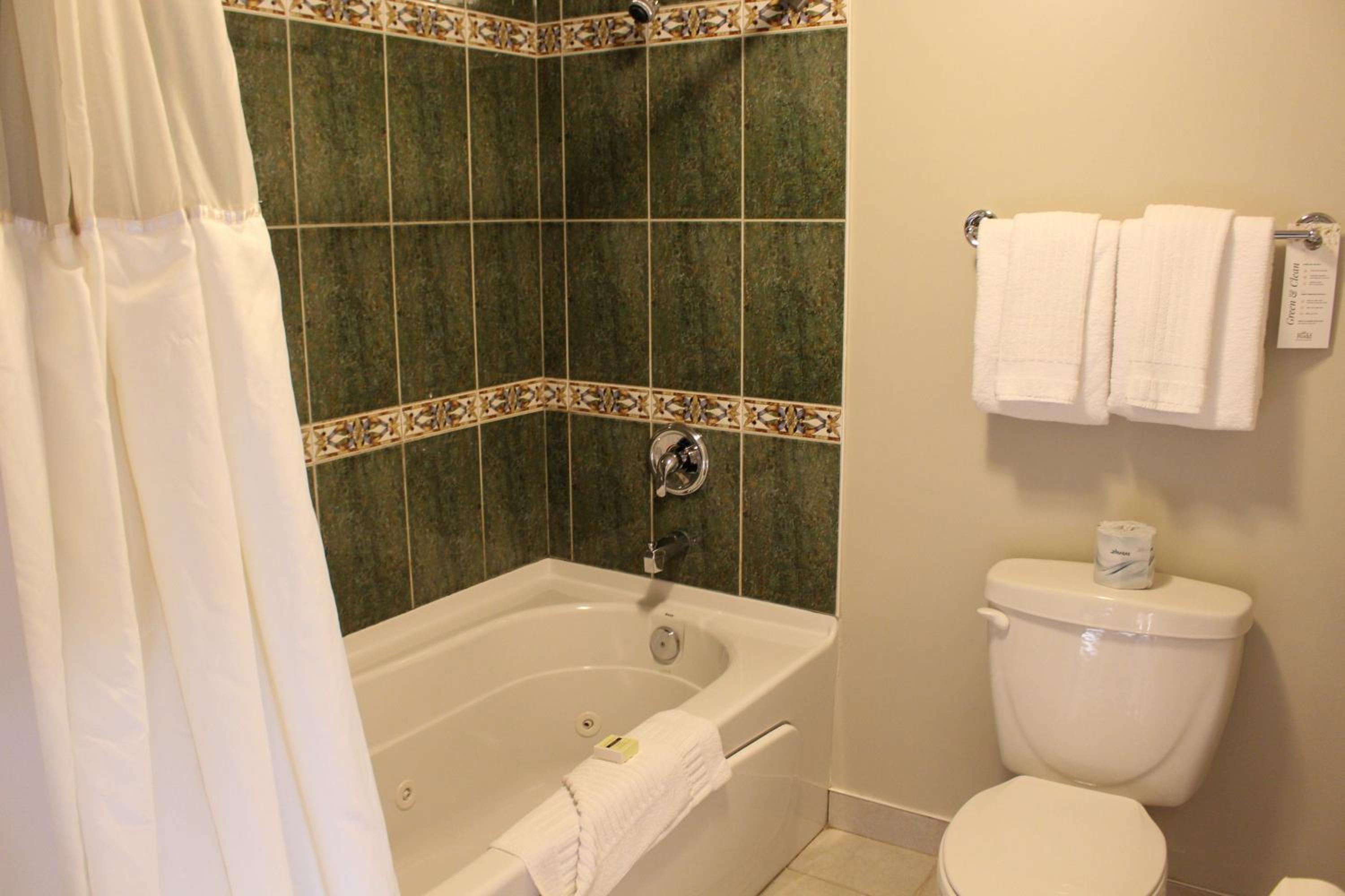 King Suite - Photo 4