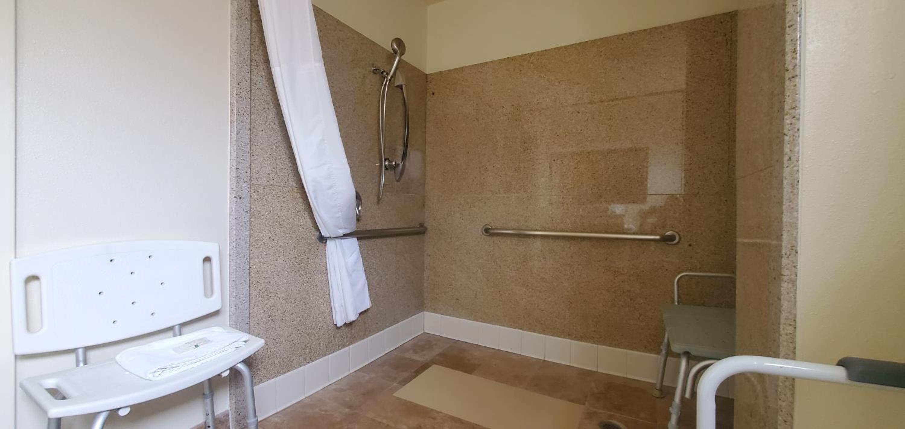 Standard Room, 1 King Bed, Accessible Roll-In Shower, Non Smoking - Photo 2