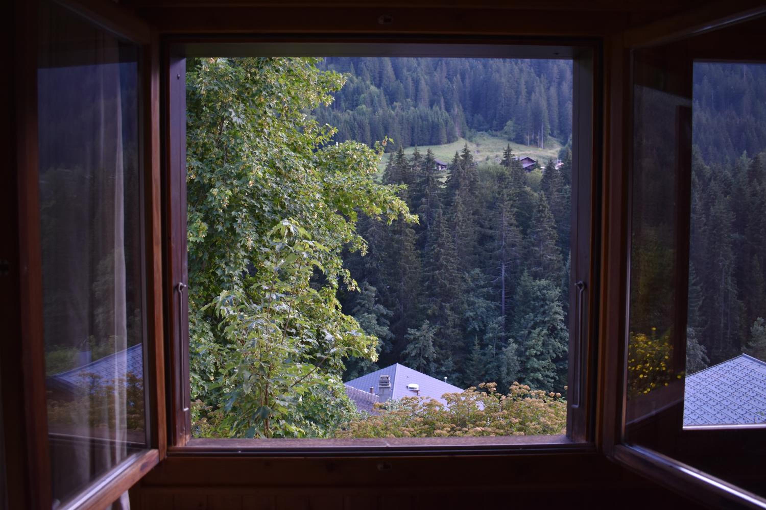 Chalet photo 3