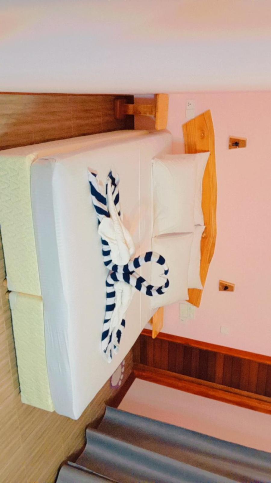 Superior Deluxe Double or Twin Room 