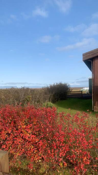 Villa photo 3