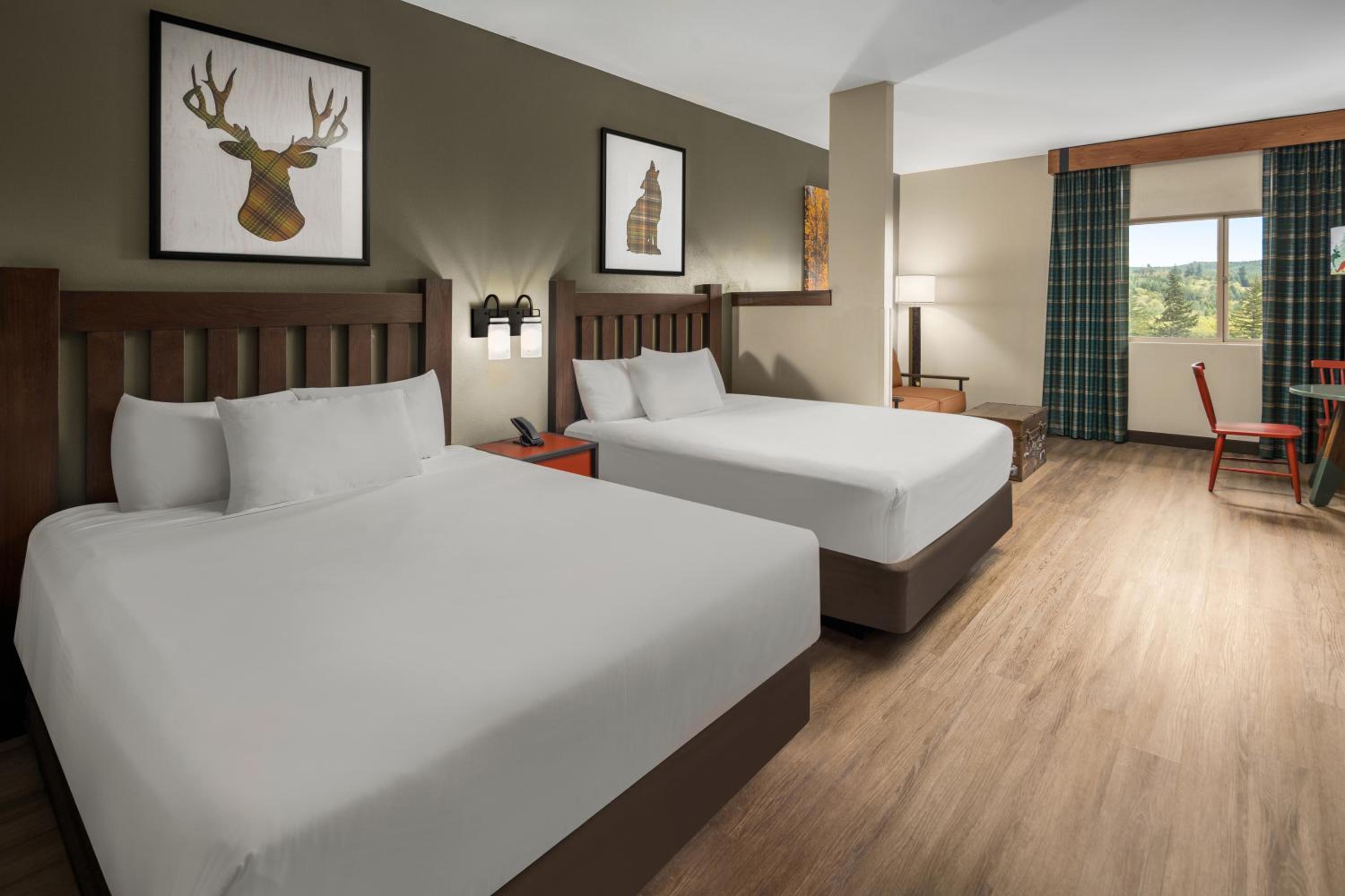 Majestic Bear Suite photo 2