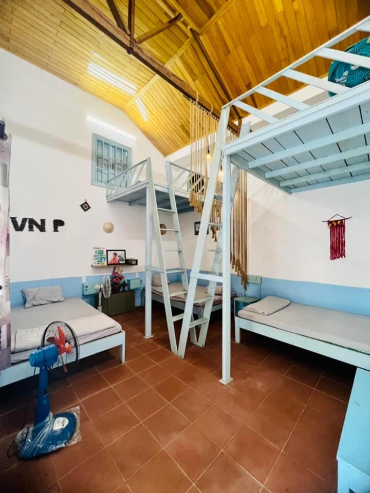 Single Bed in Mixed Dormitory Room photo 3