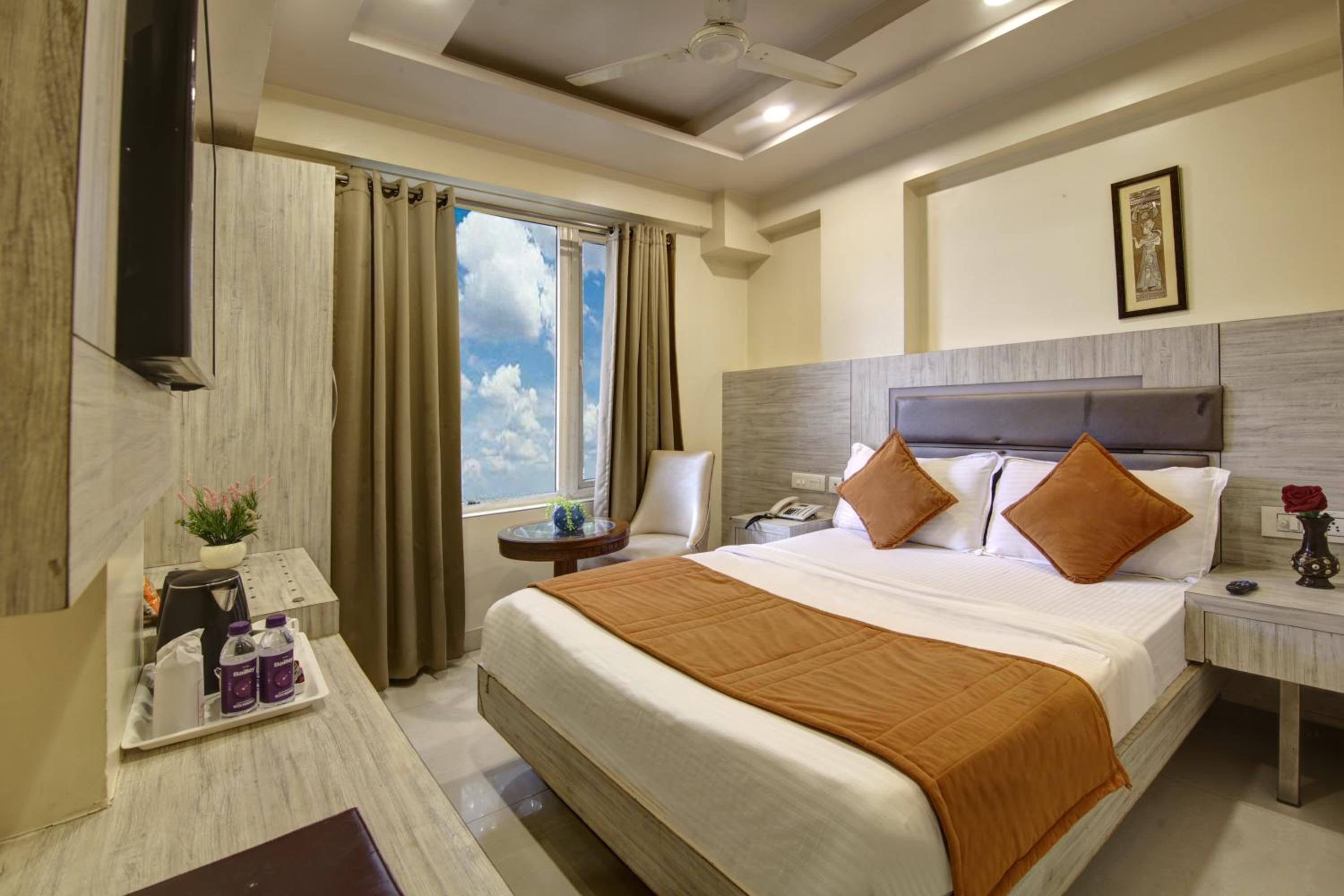 Deluxe Double or Twin Room photo 3
