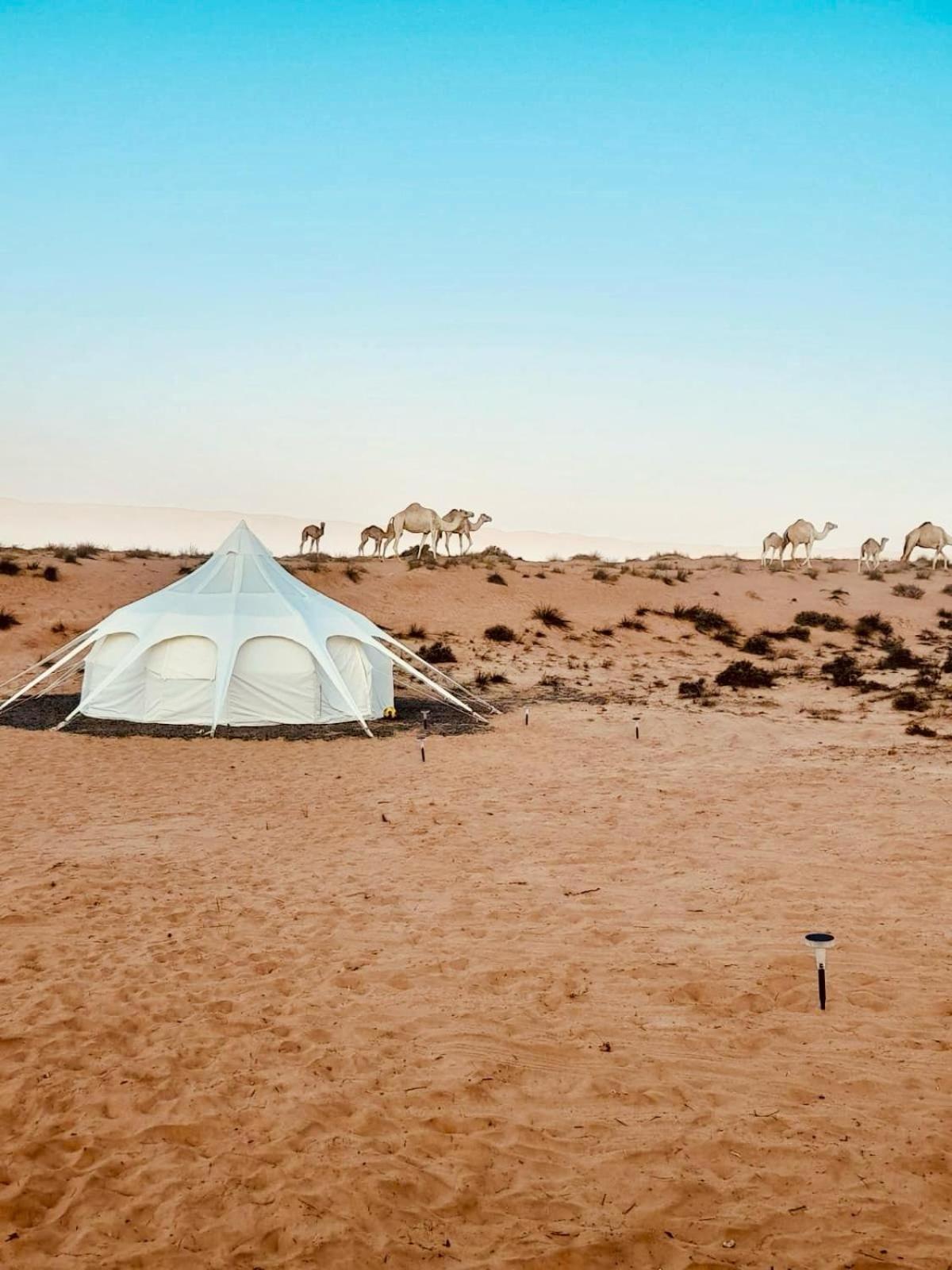 Tent photo 3