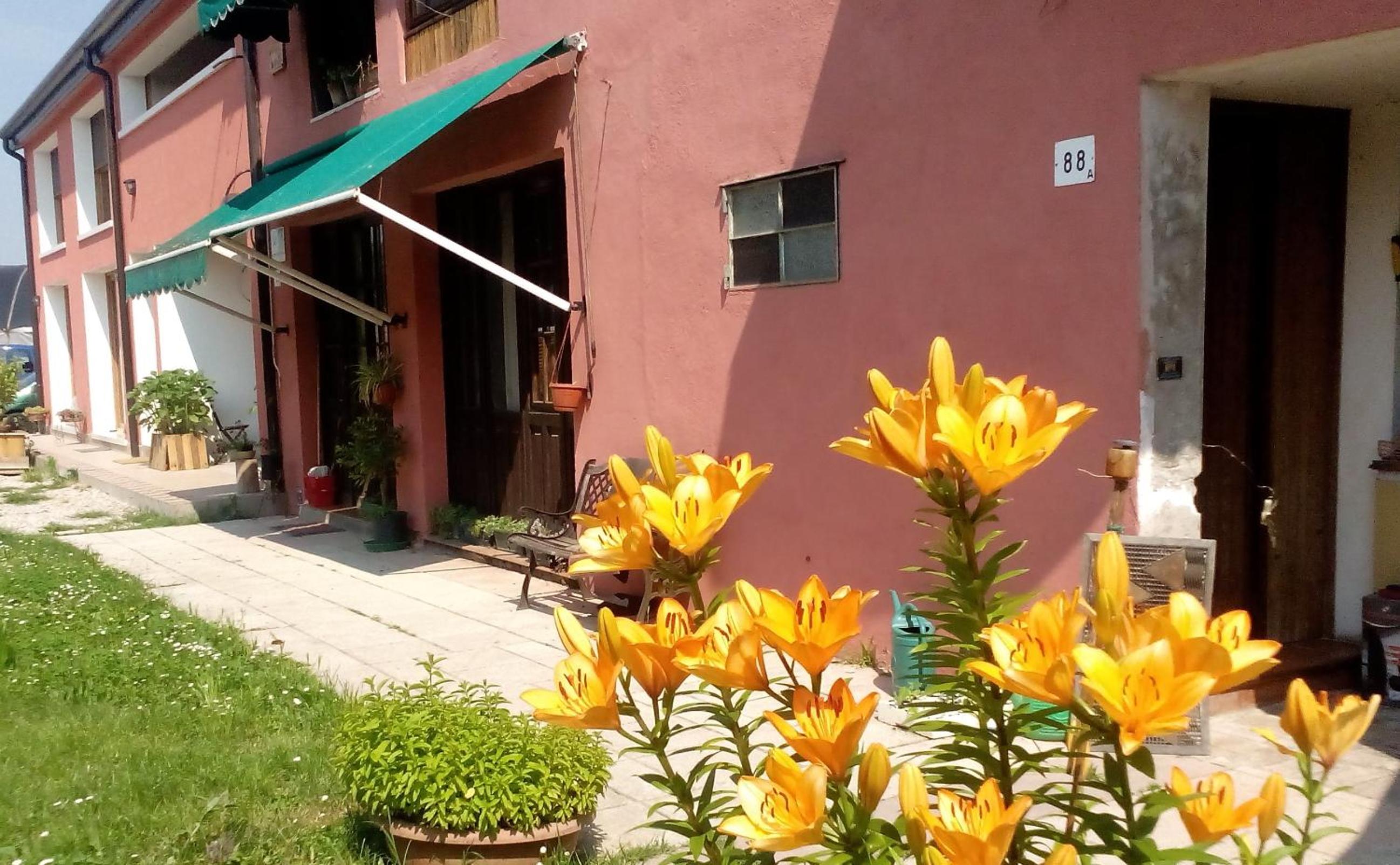 Standard Bungalow with Fan - Photo 17