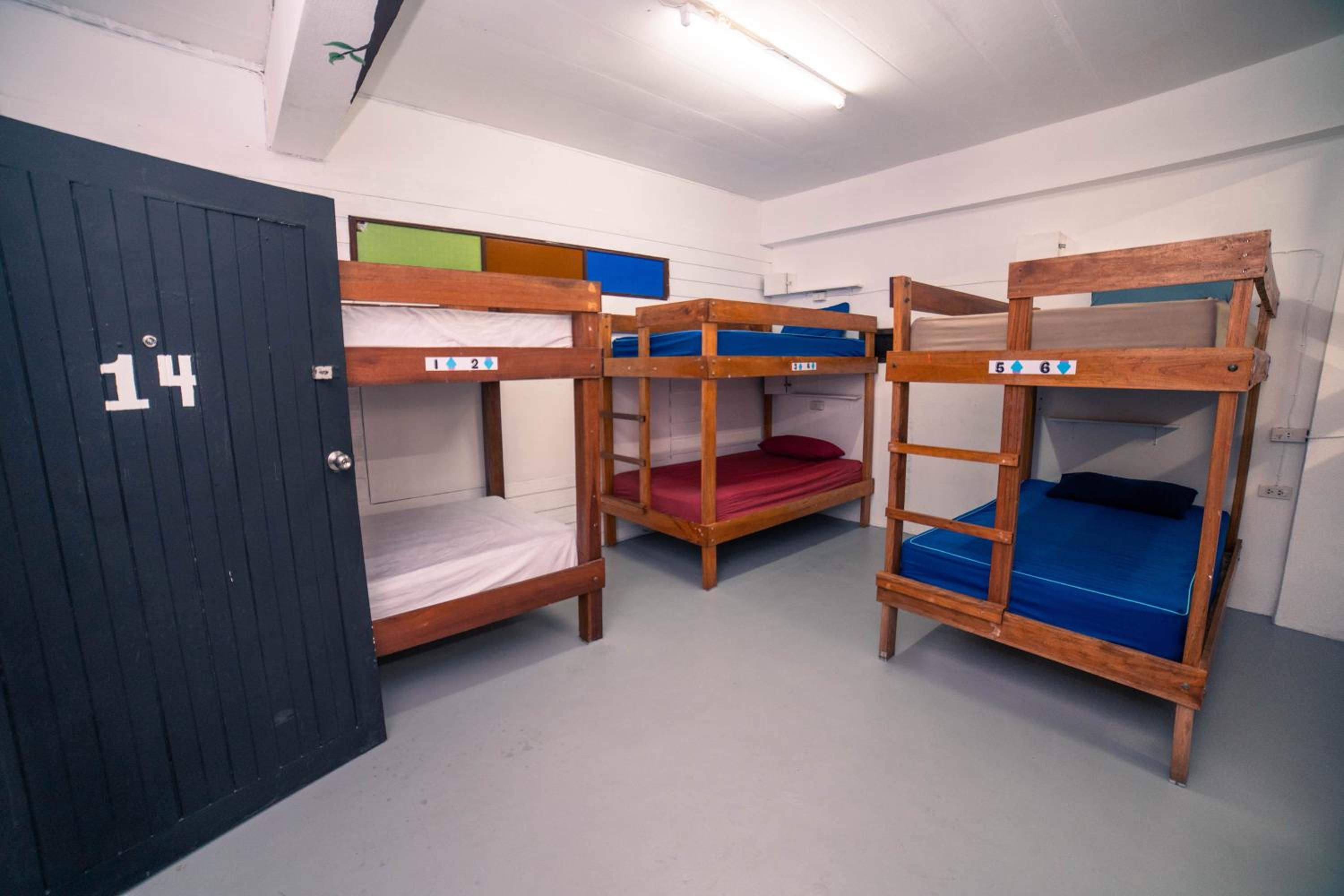 Single Bed in Mixed Dormitory Room photo 2