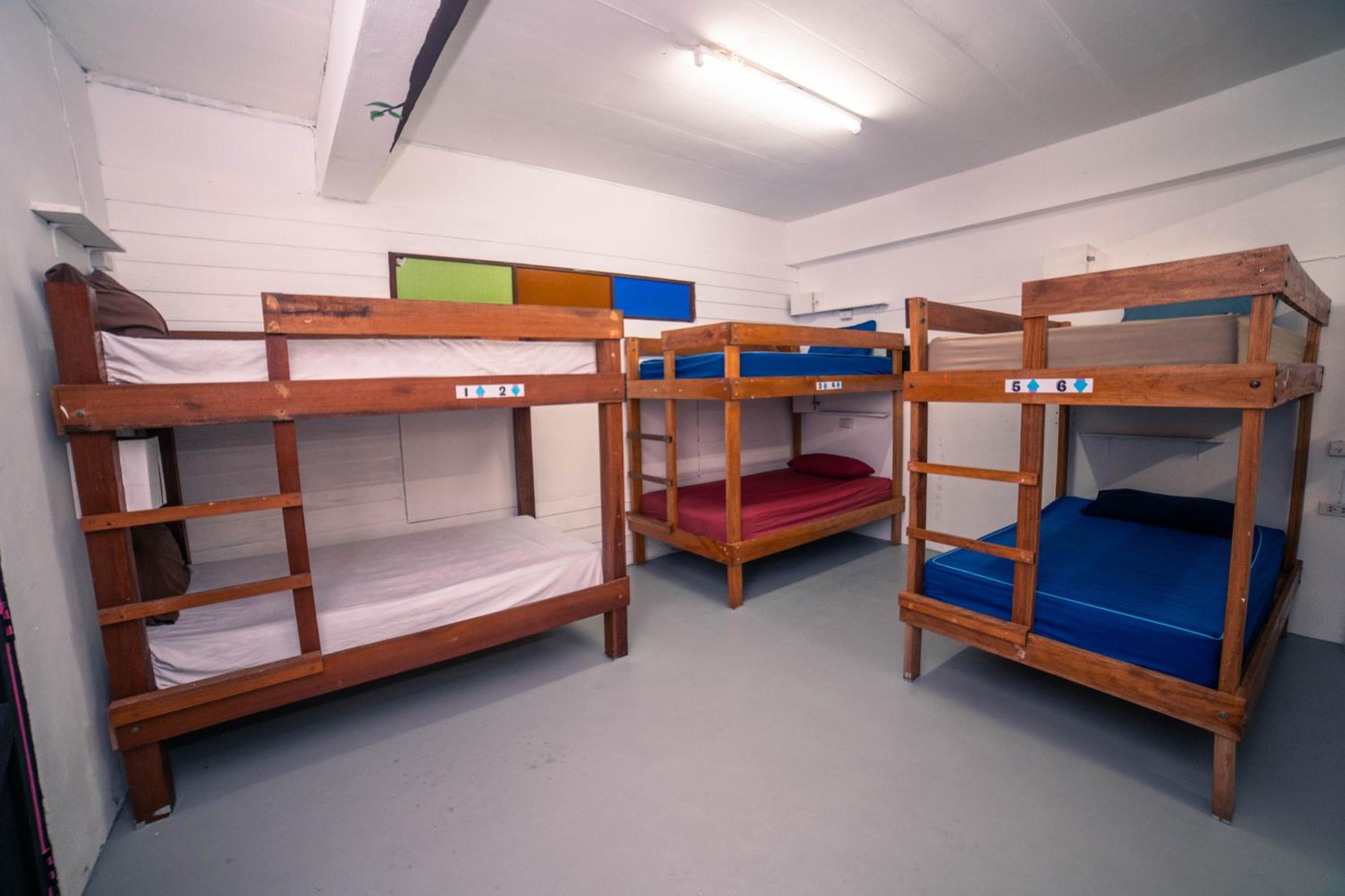 Single Bed in Mixed Dormitory Room photo 3