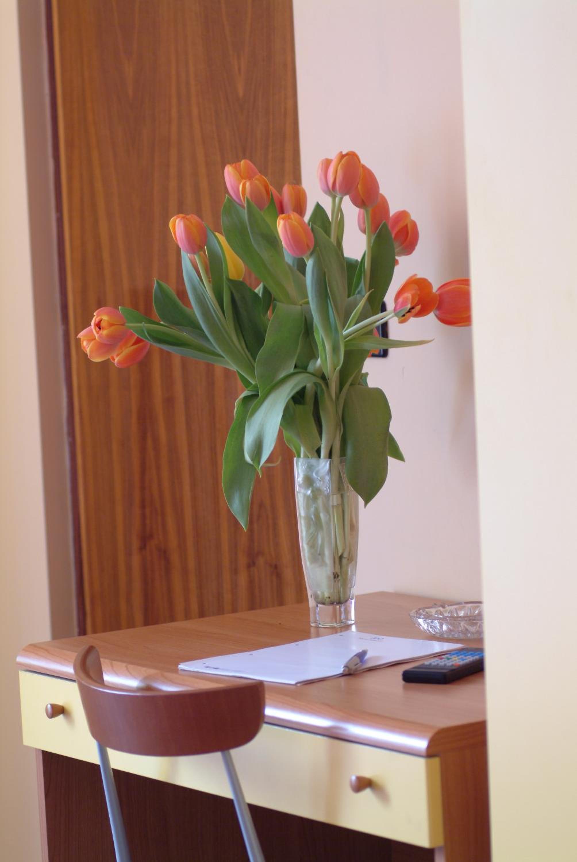 Classic Single Room with Balcony photo 3