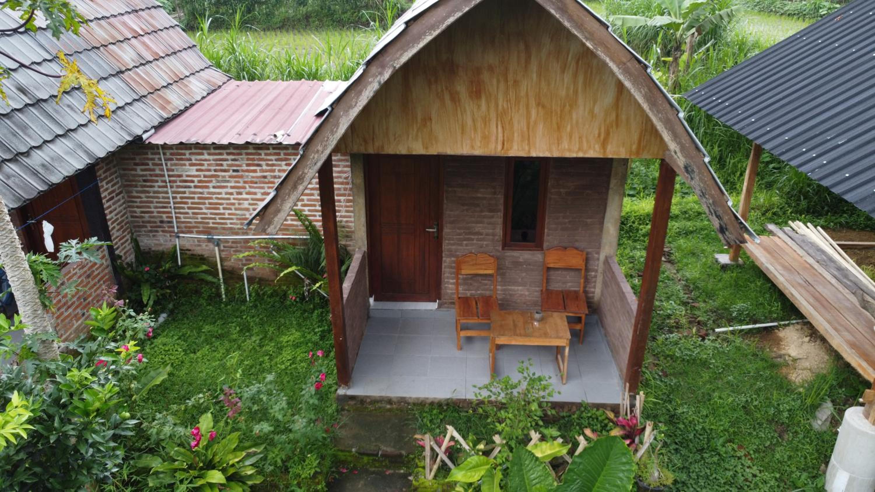 Double Room with Garden View photo 2