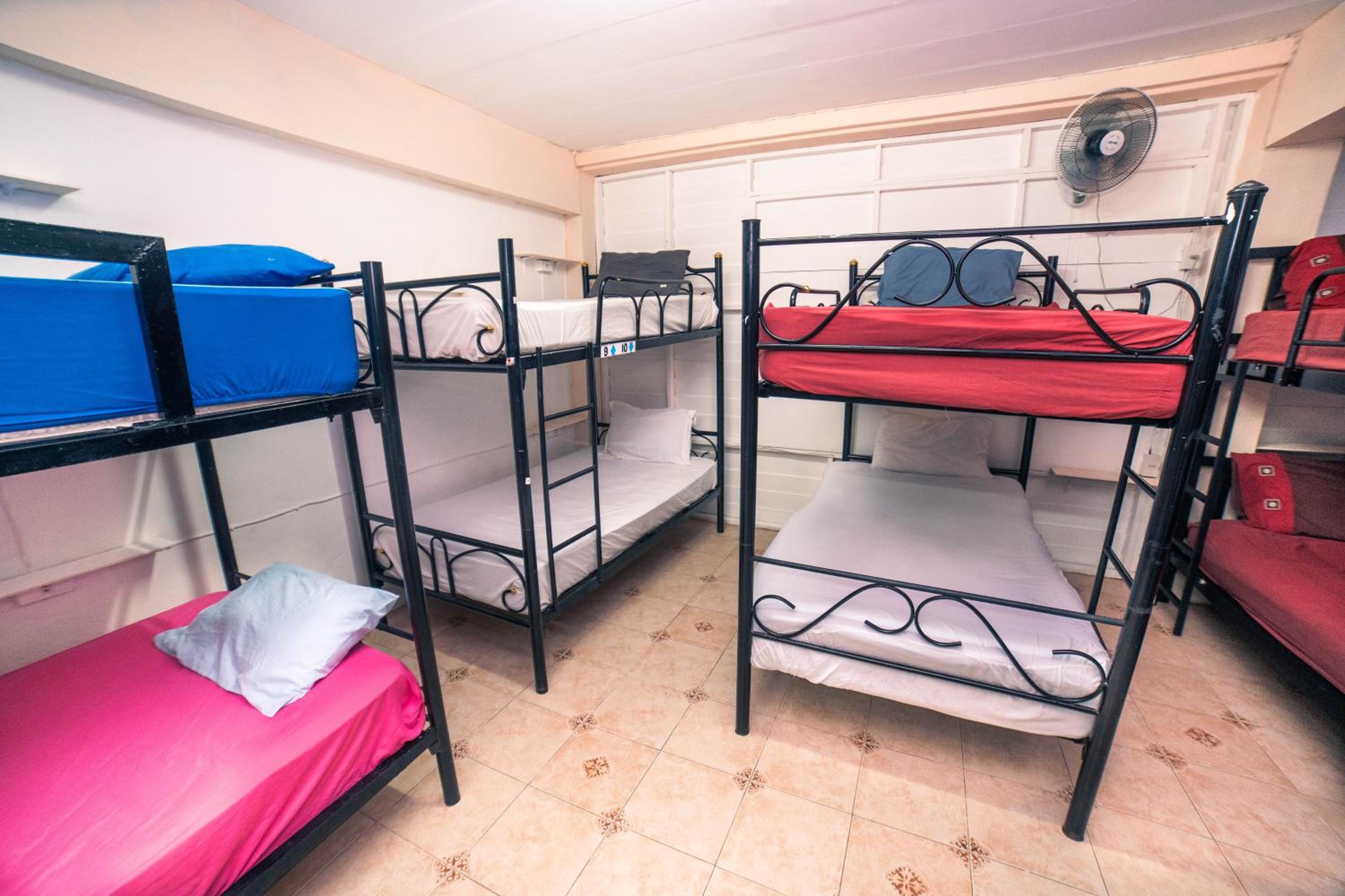 Single Bed in Mixed Dormitory Room photo 3