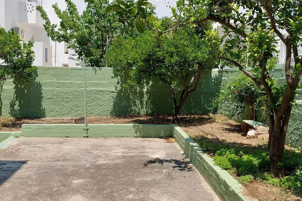Studio with Garden View photo 3