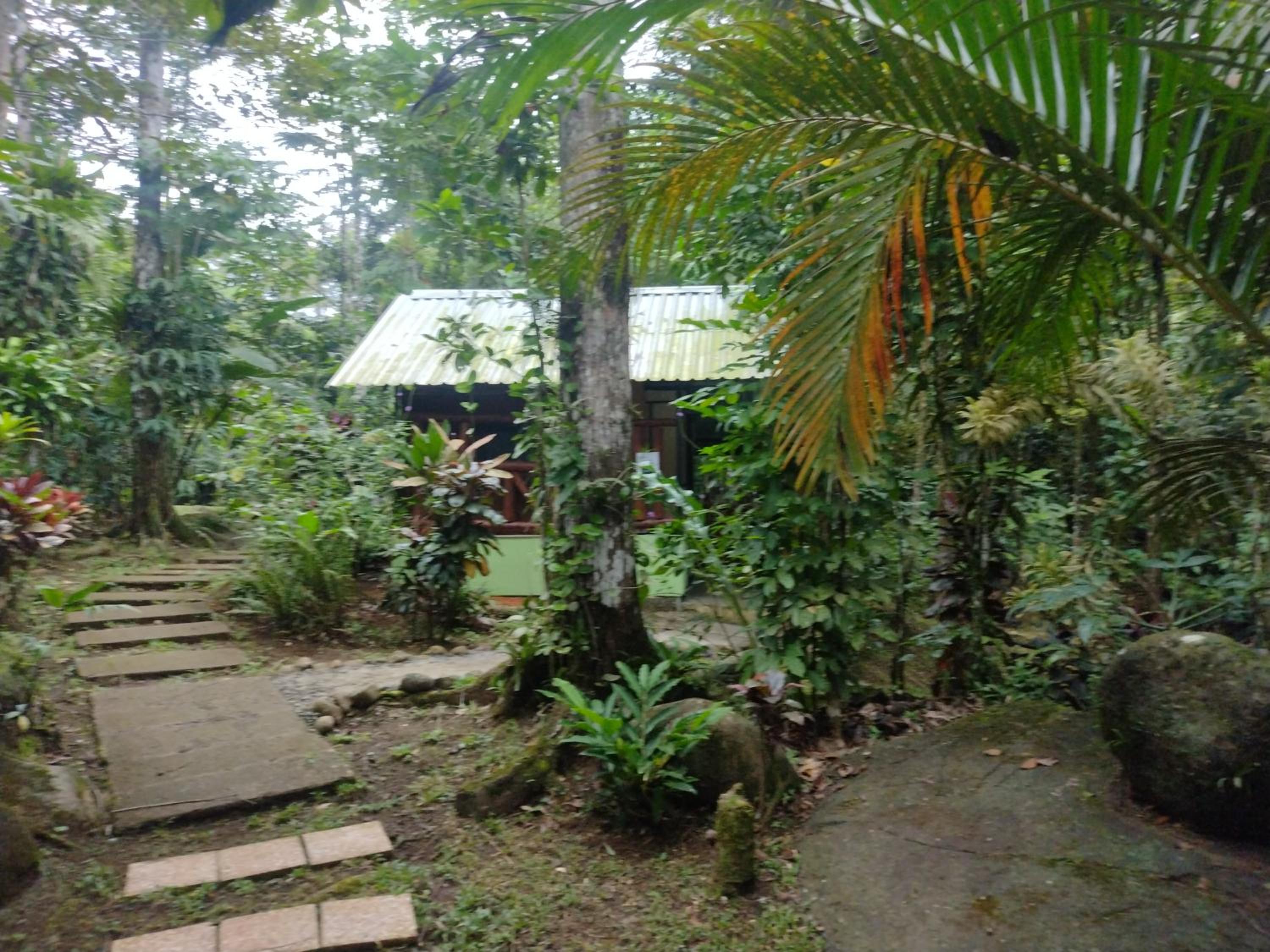 Double Room with Private Bathroom photo 2