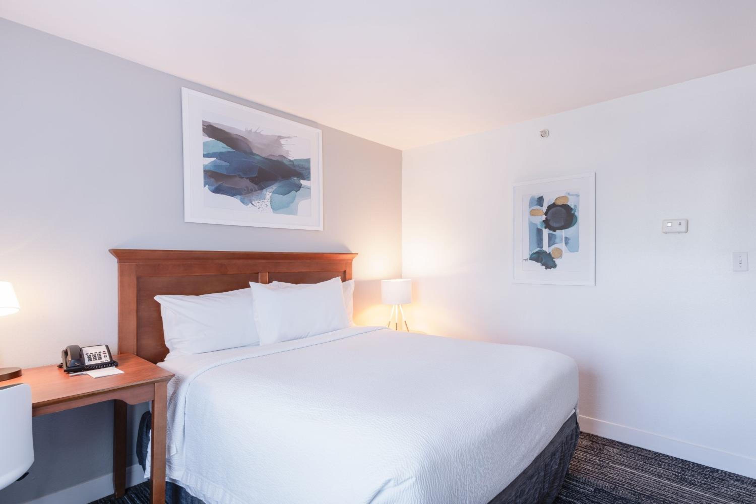 Two-Bedroom Queen Suite with Sofa Bed - Mobility and Hearing Accessible with Tub photo 3