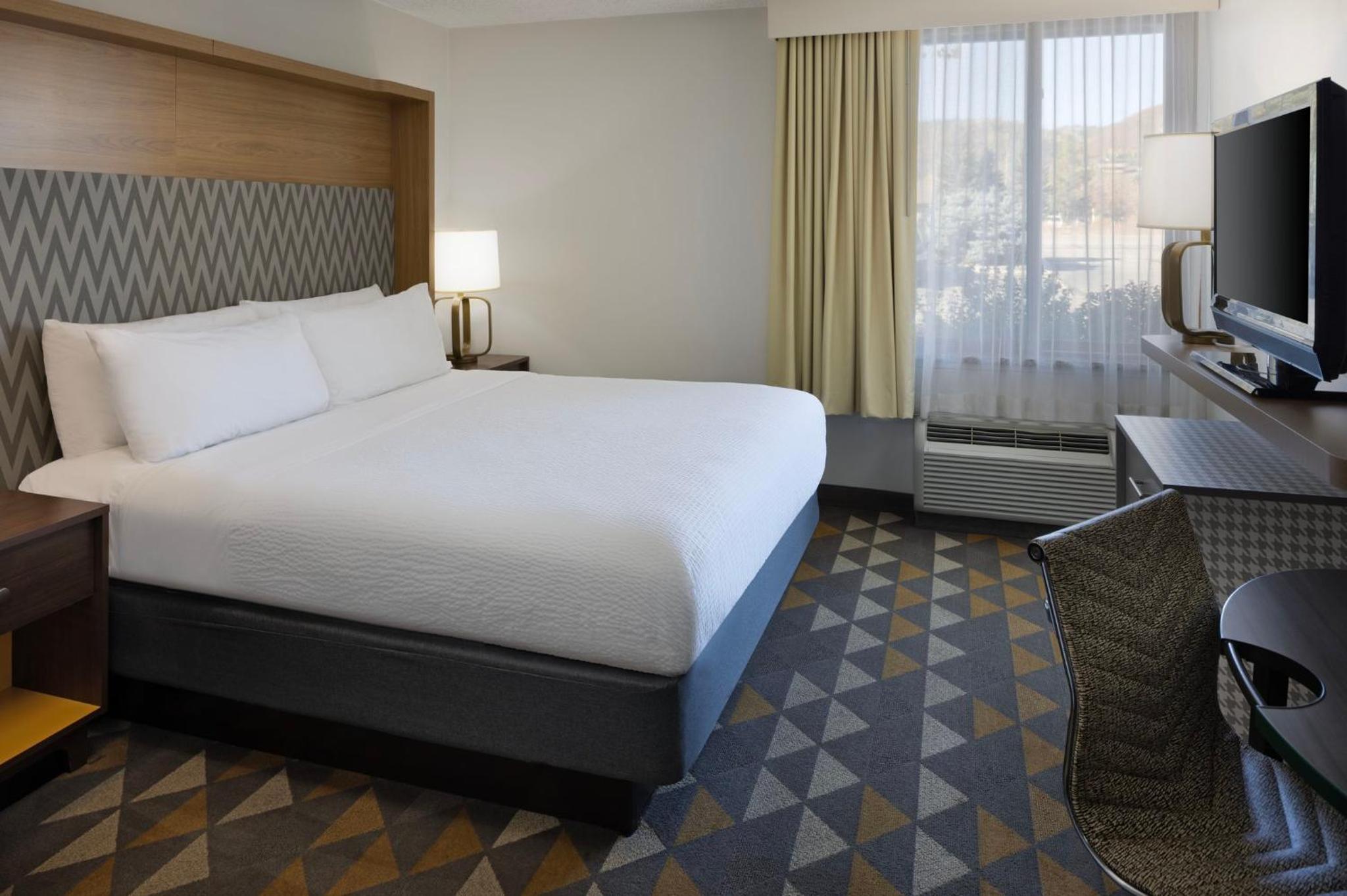 Standard King Room - Pet Friendly - Photo 7