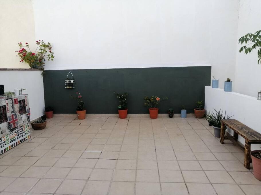 Three-Bedroom House photo 2