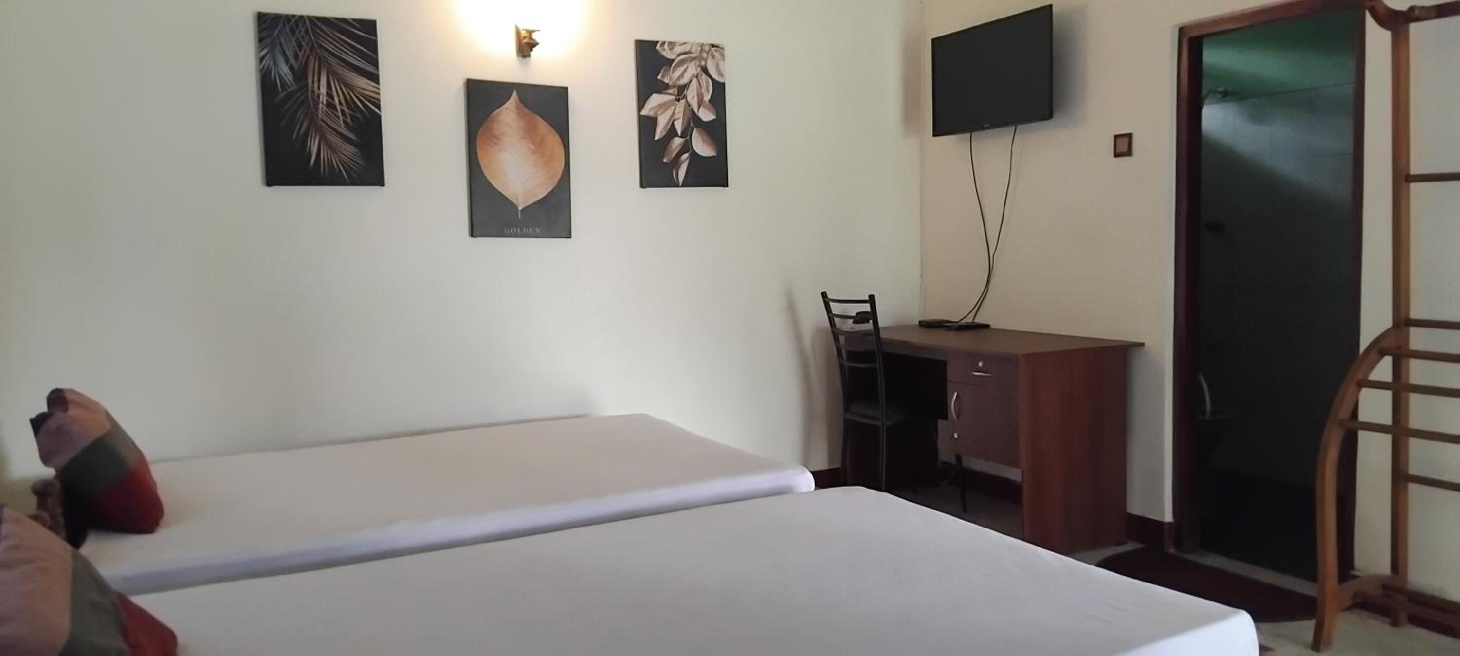 Deluxe Twin Room photo 2
