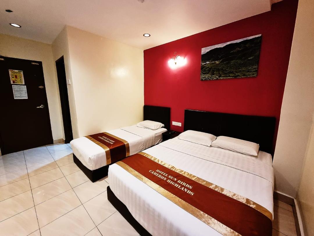 Triple Room without window - Photo 3