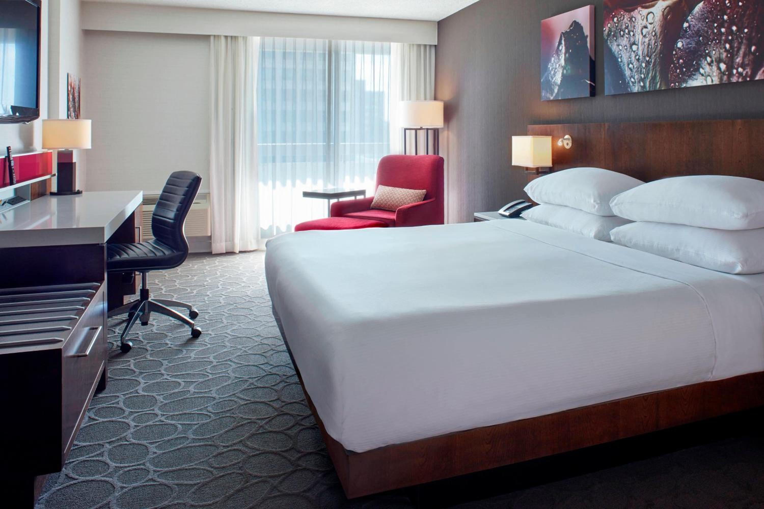 Room, 1 King Bed