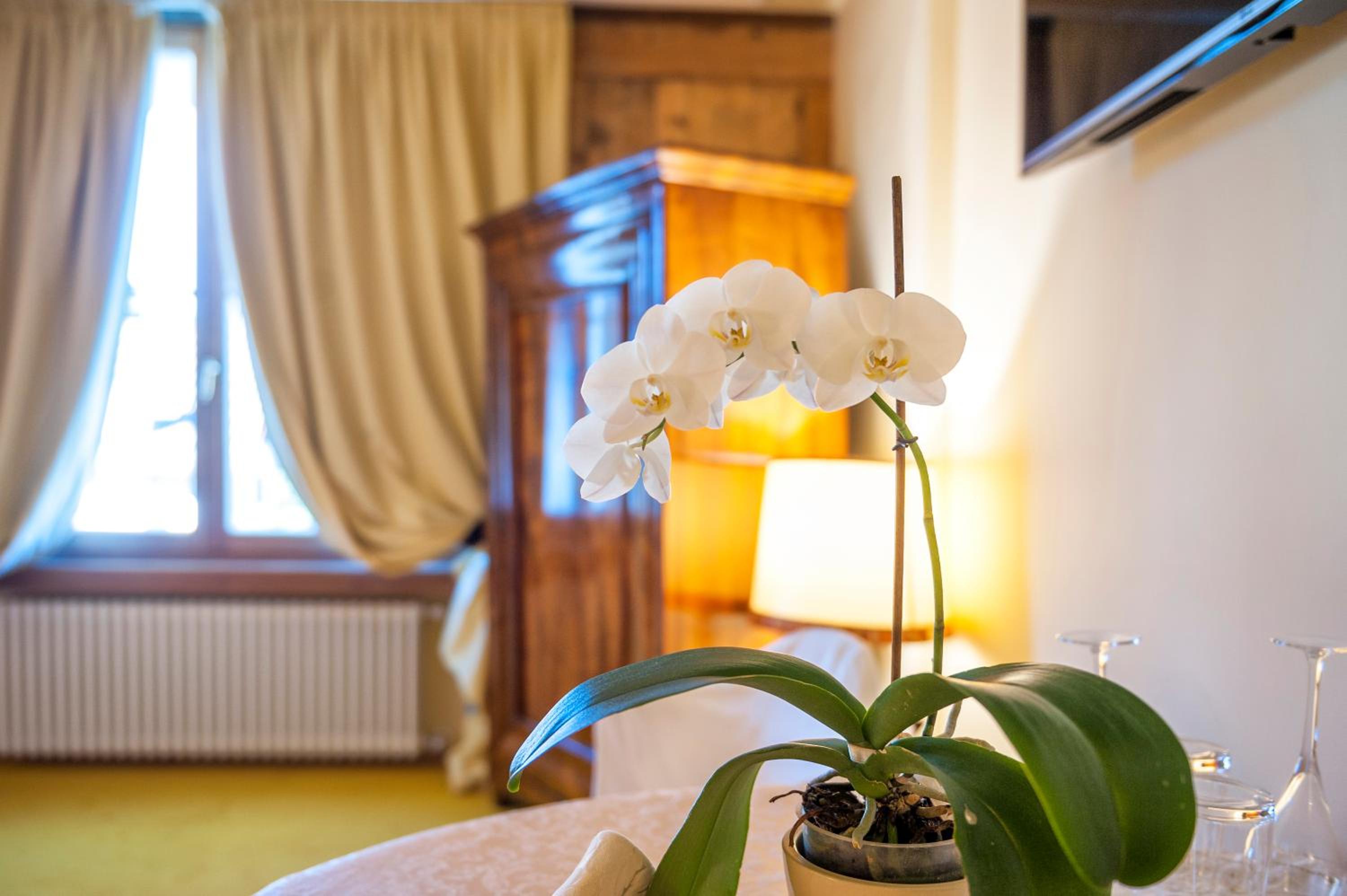 Deluxe Double Room with Shower - Photo 3