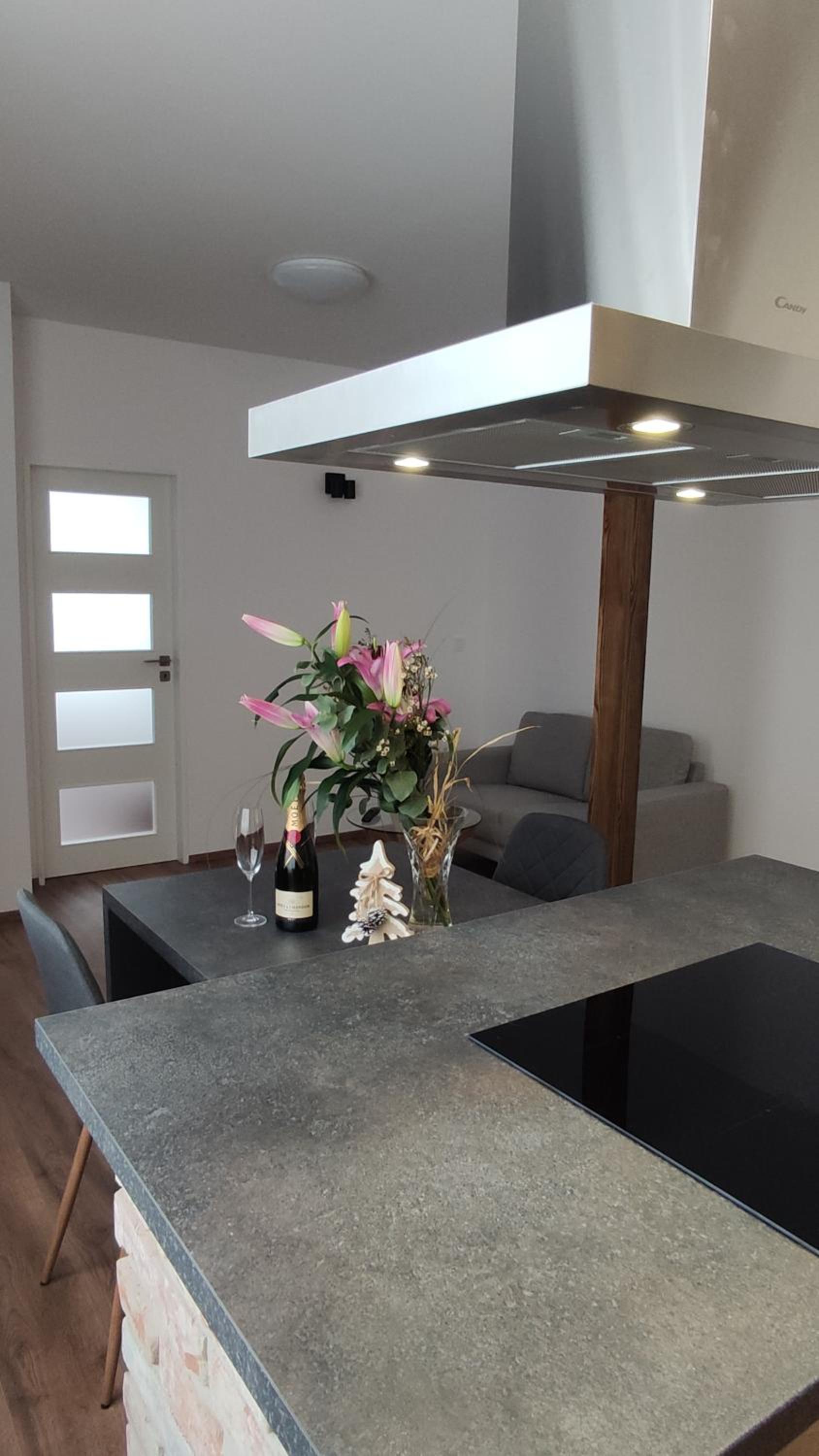 Superior Apartment photo 2
