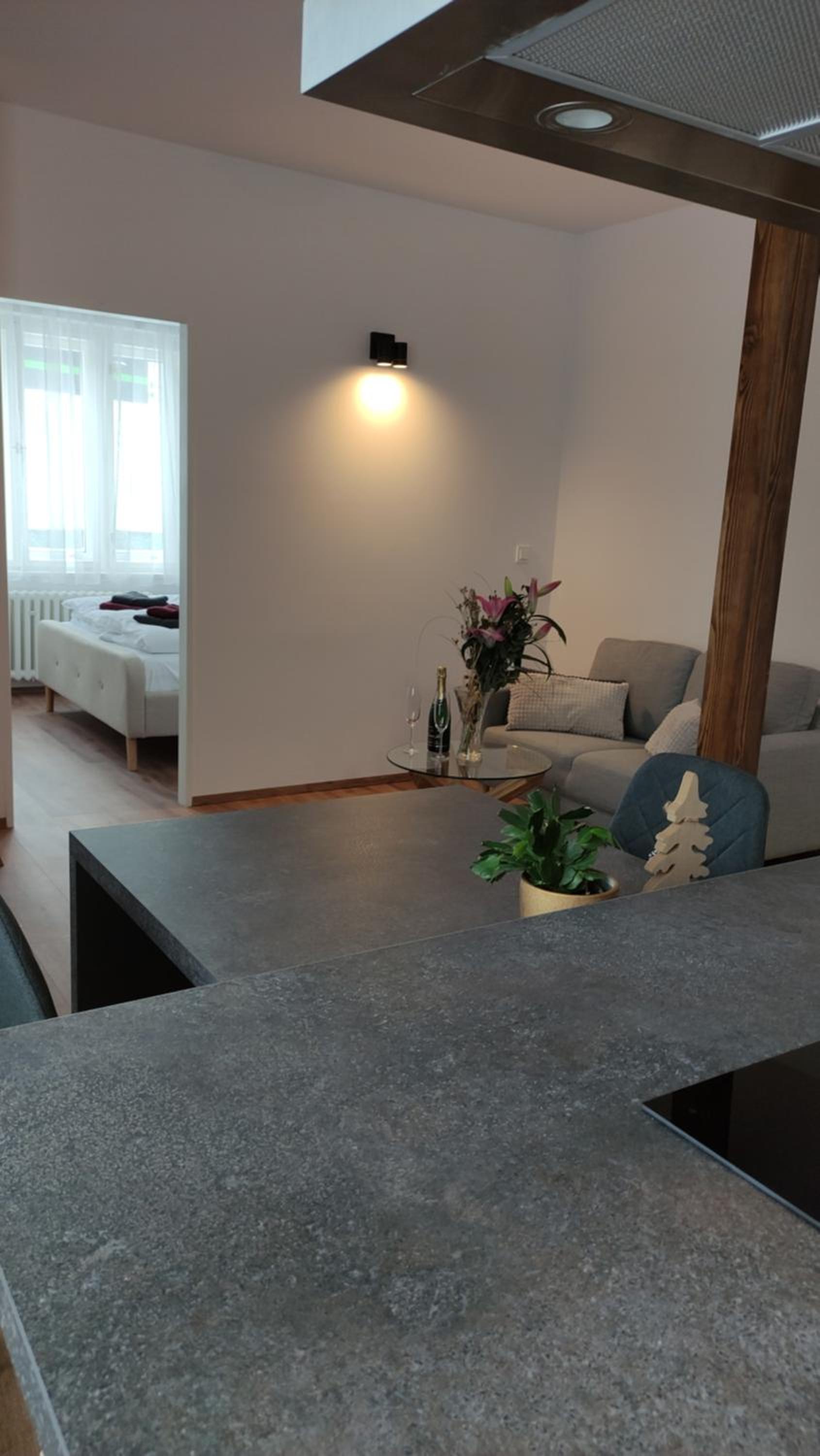 Superior Apartment photo 1