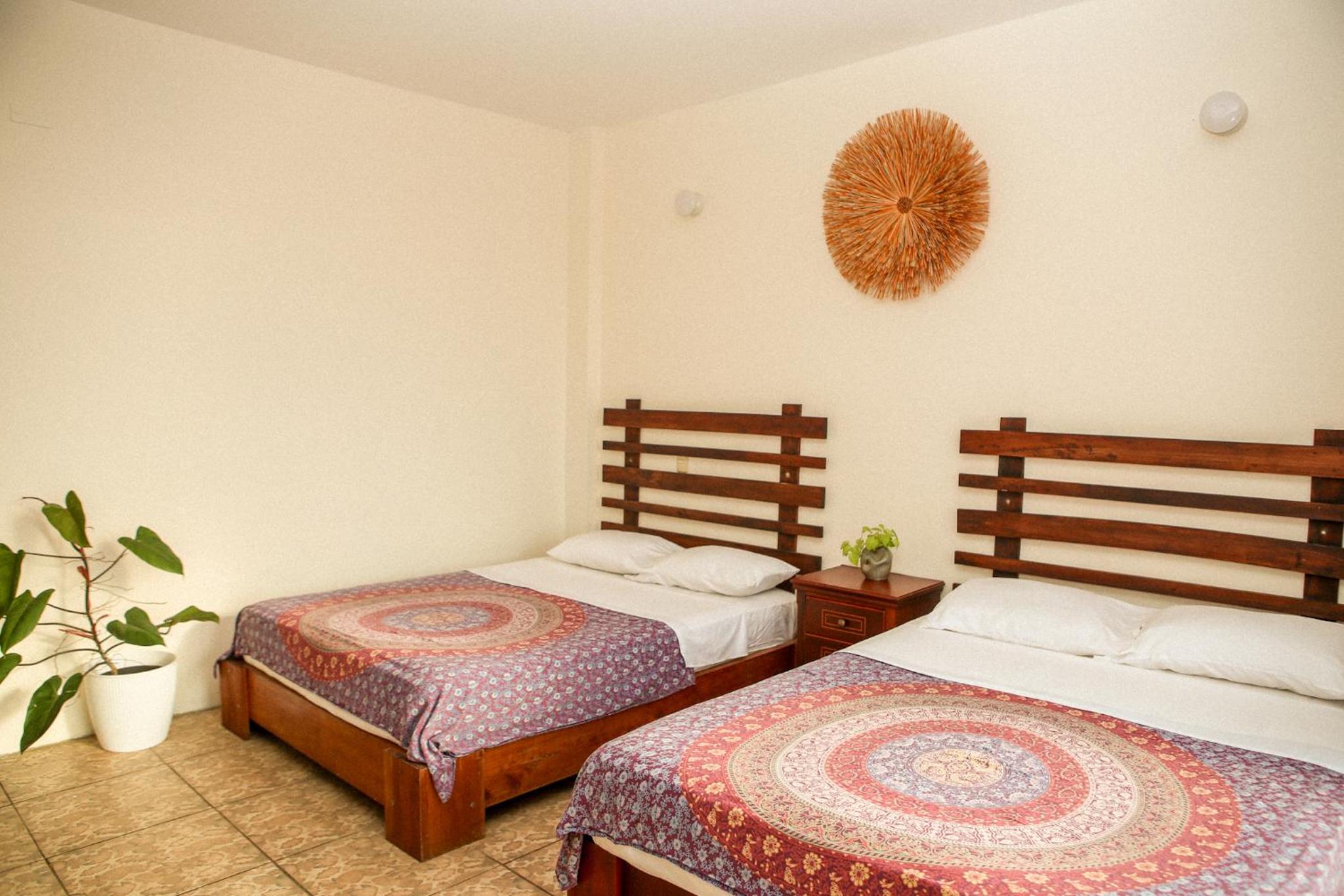 Budget Double Or Twin Room photo 3