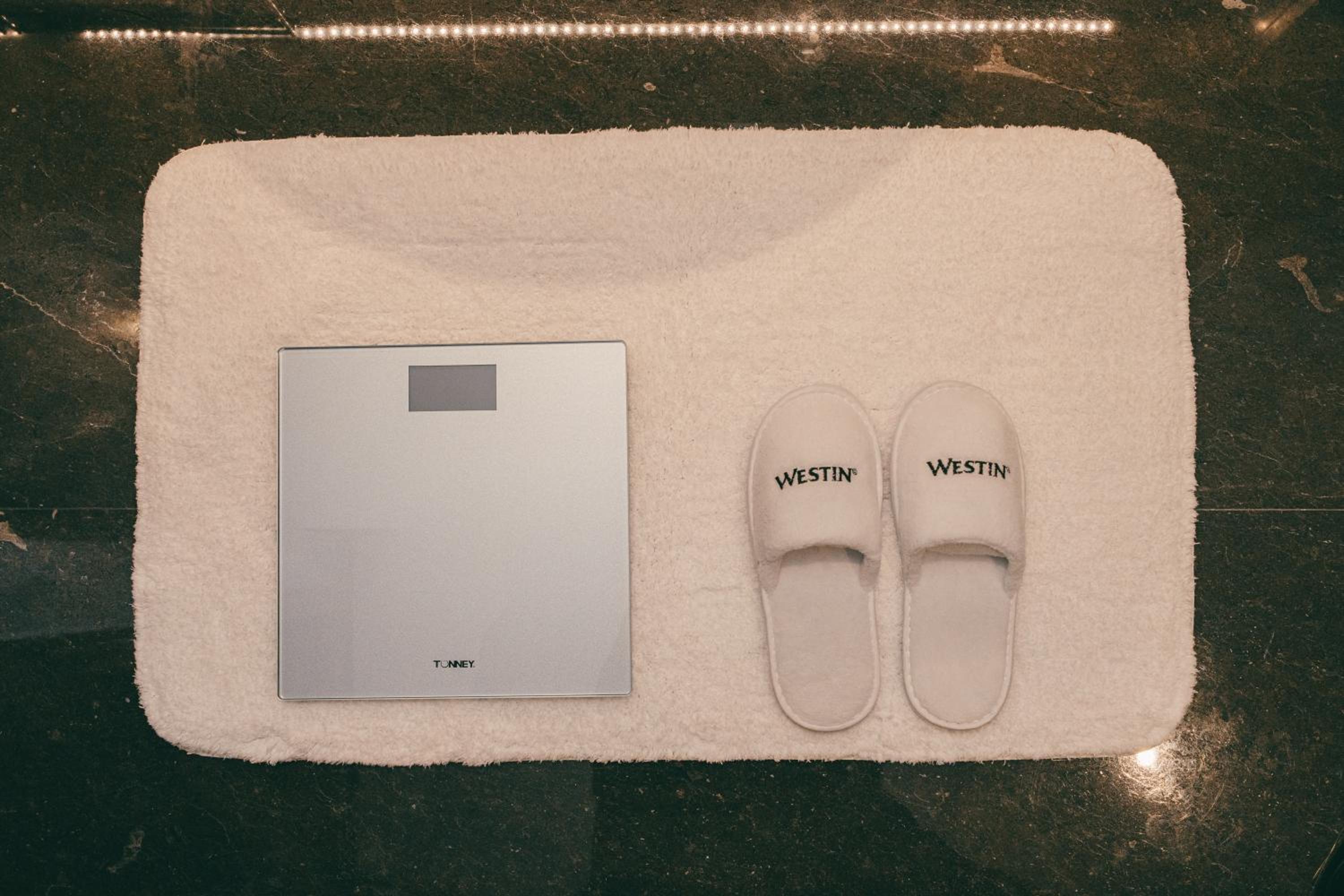 Family Studio