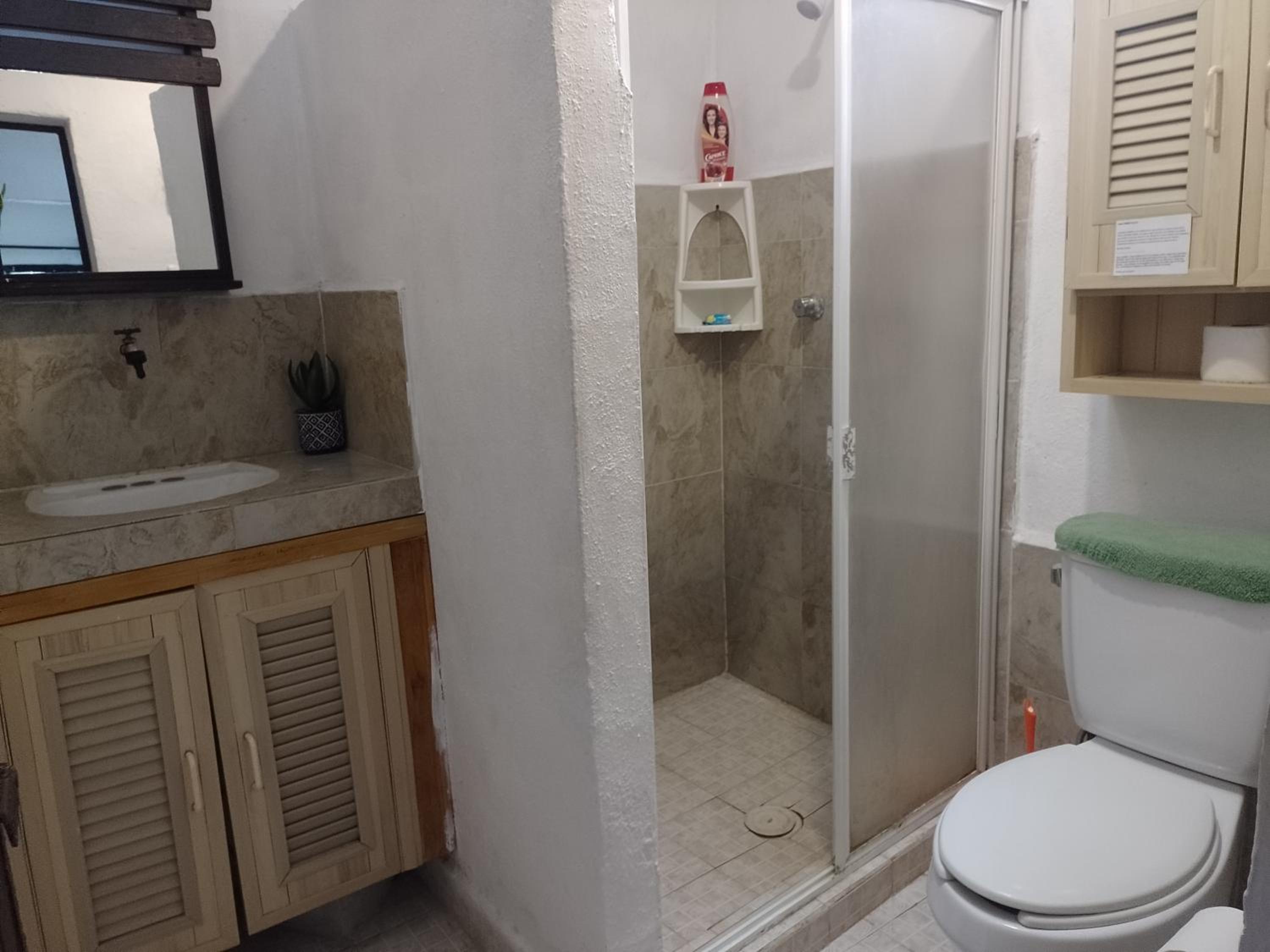 One-Bedroom House photo 2