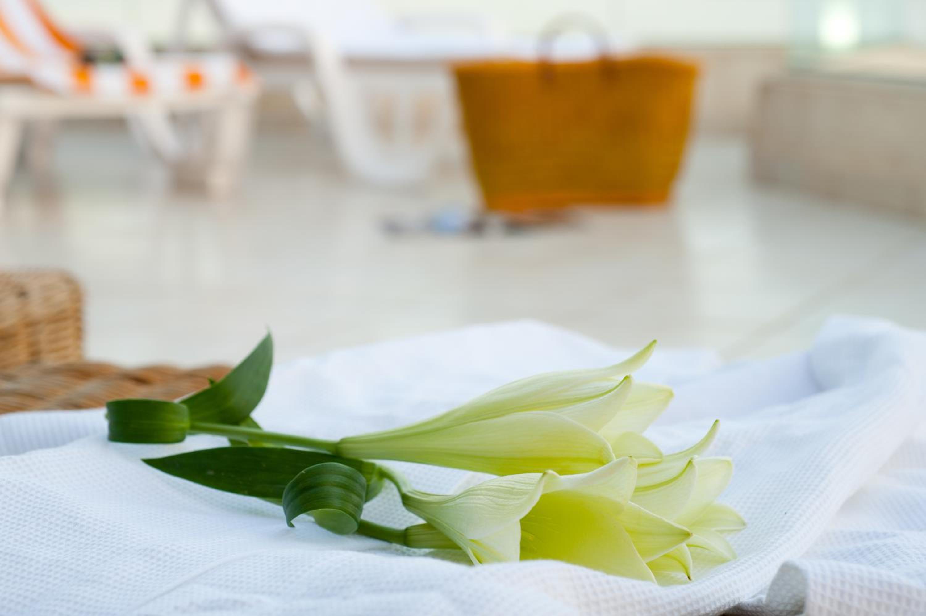 Double or Twin Room with Balcony