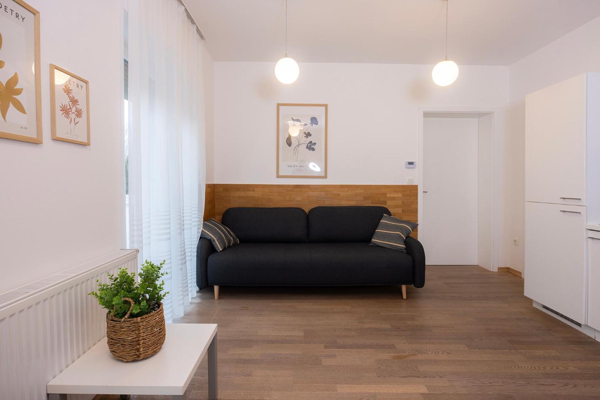 One-Bedroom Apartment with Terrace