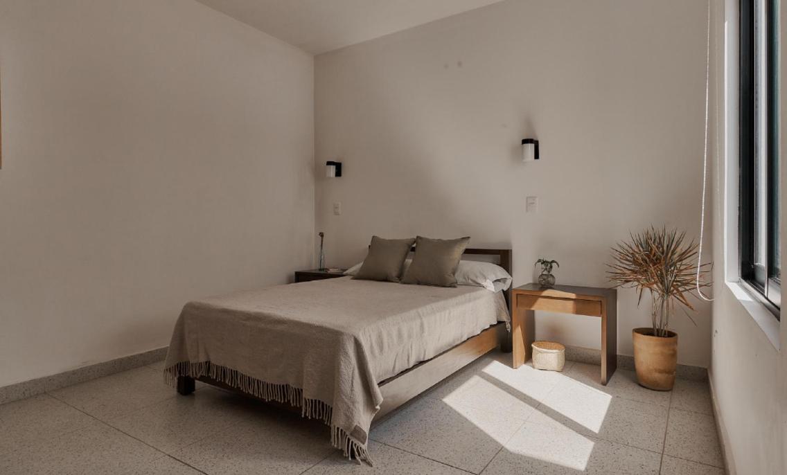 One-Bedroom Apartment photo 3