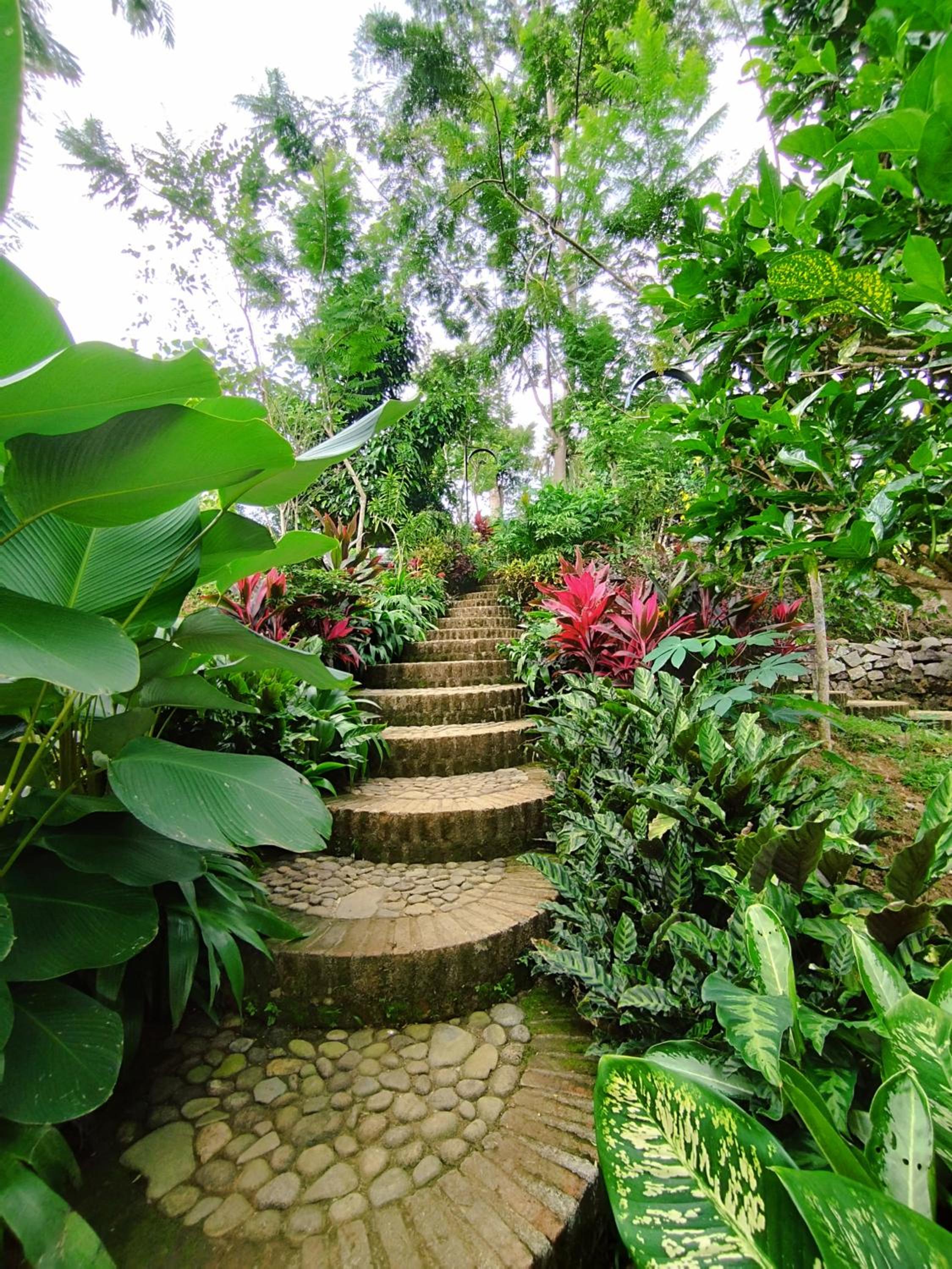 Villa - Photo 5