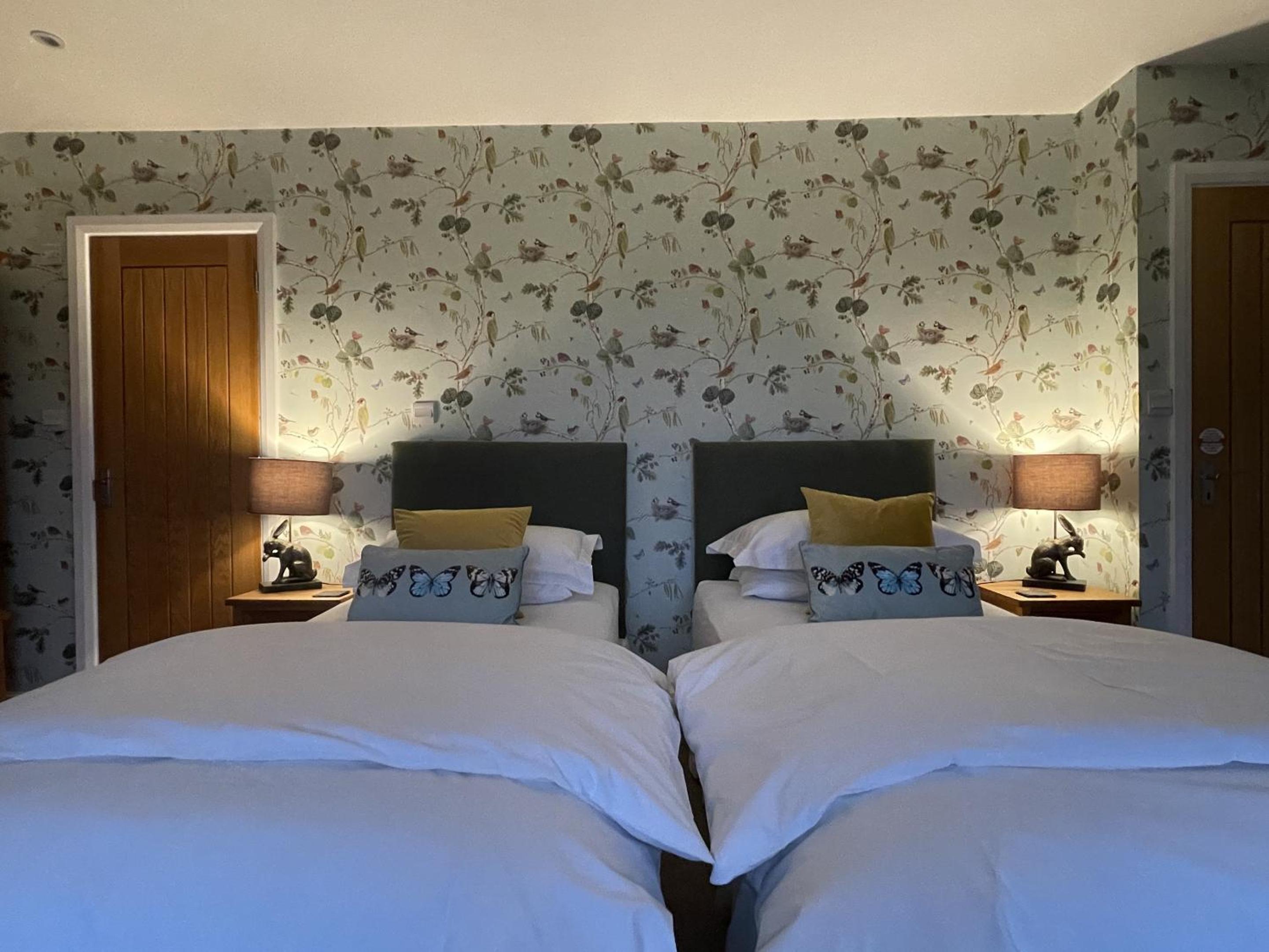 Superior Double Room photo 2
