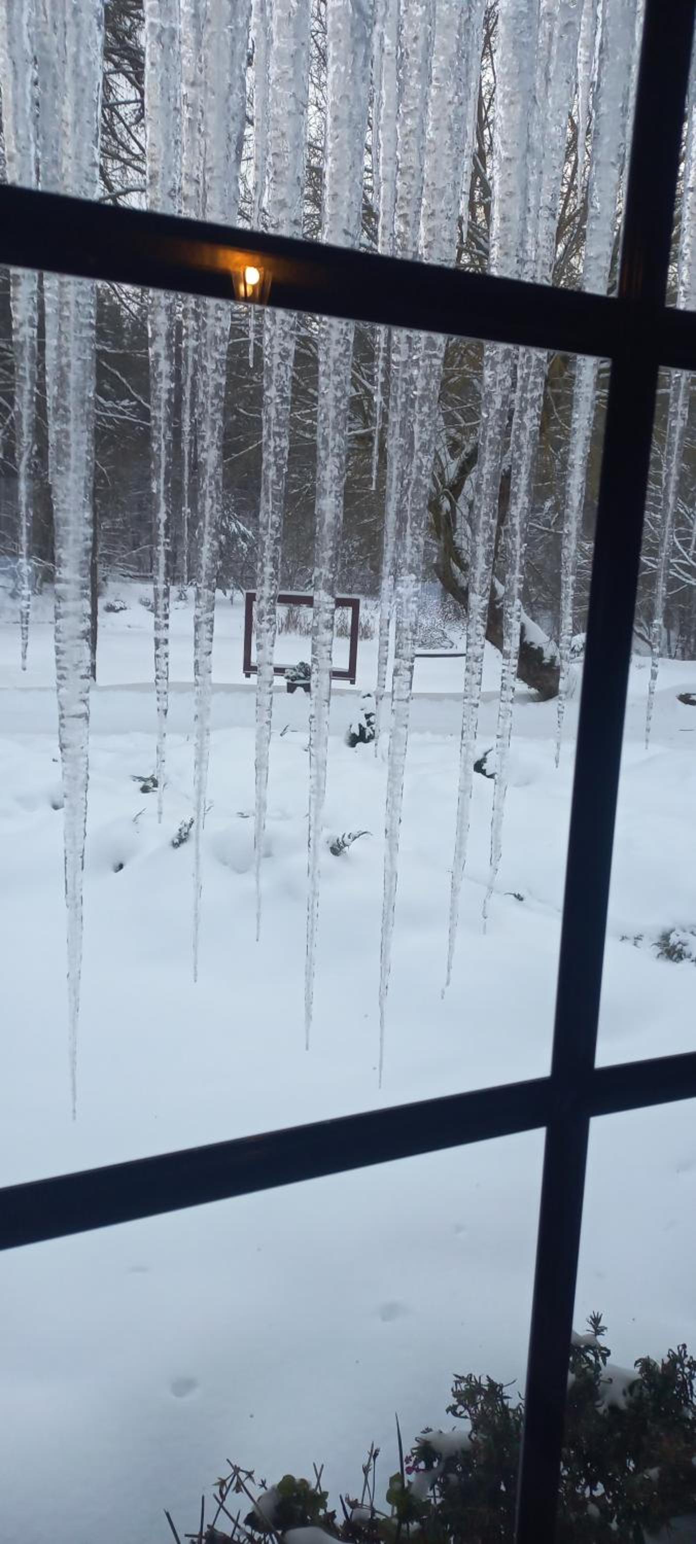 Vacation Home - Photo 15
