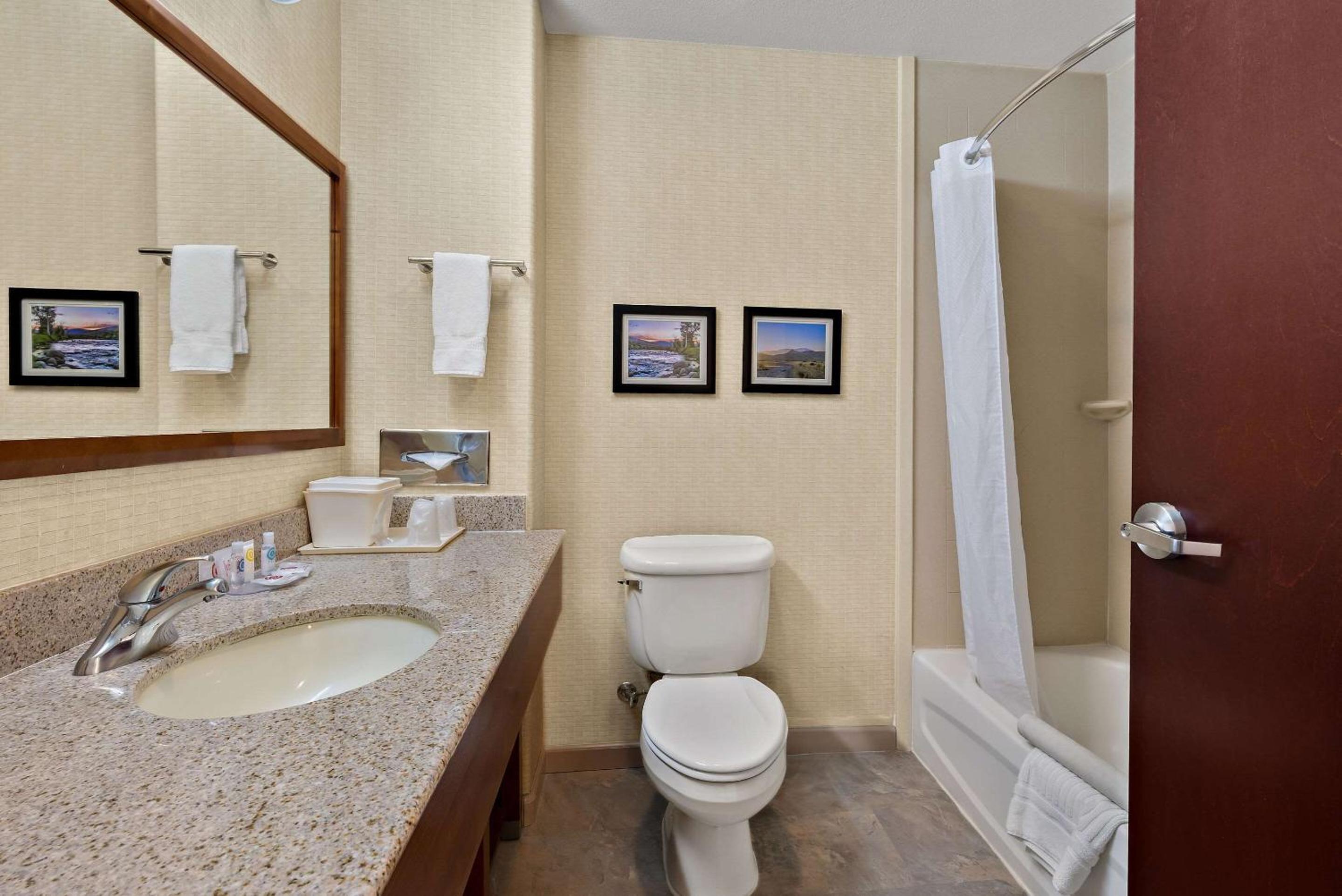 King Suite - Non-Smoking - Photo 3