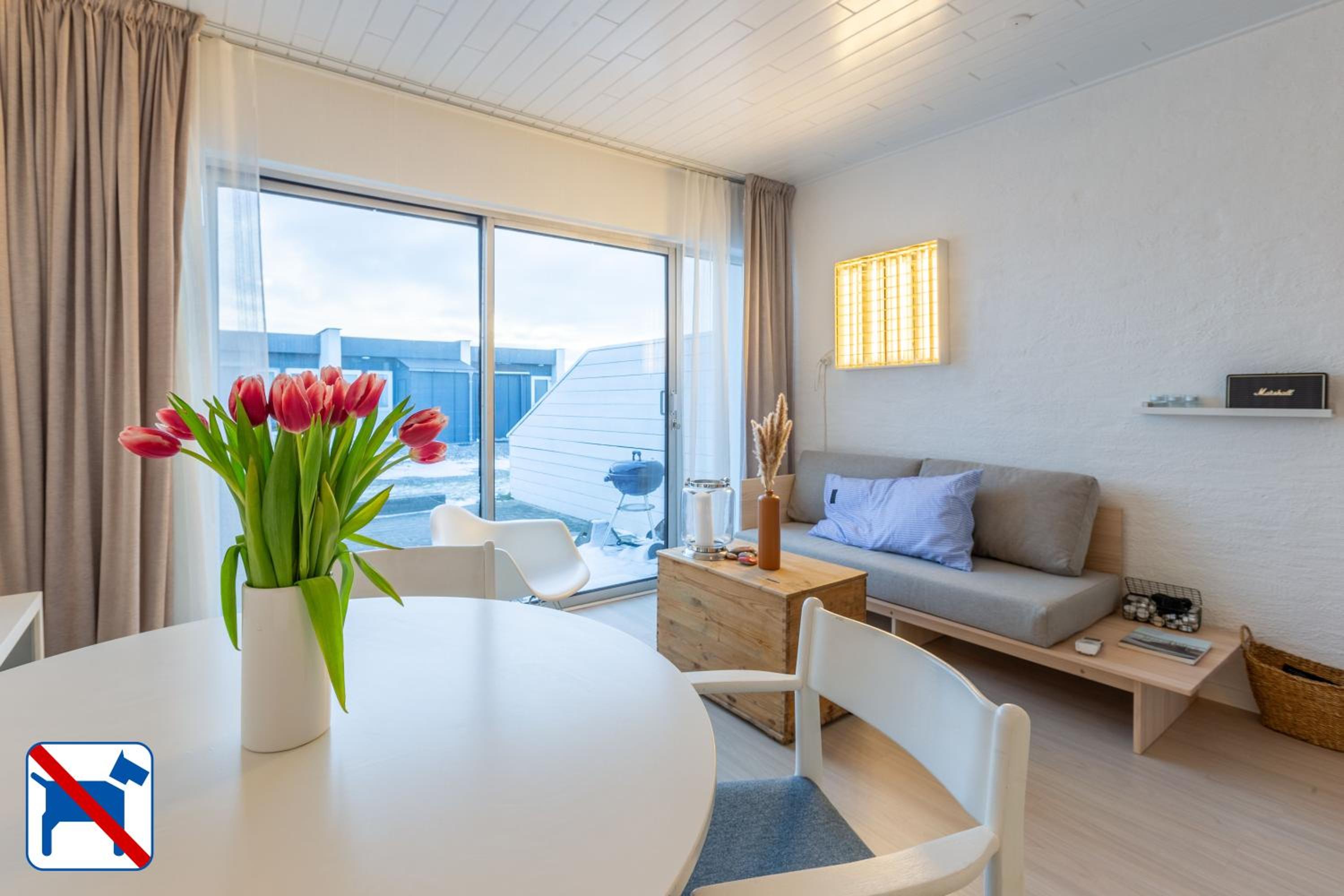 Apartment With Terrace