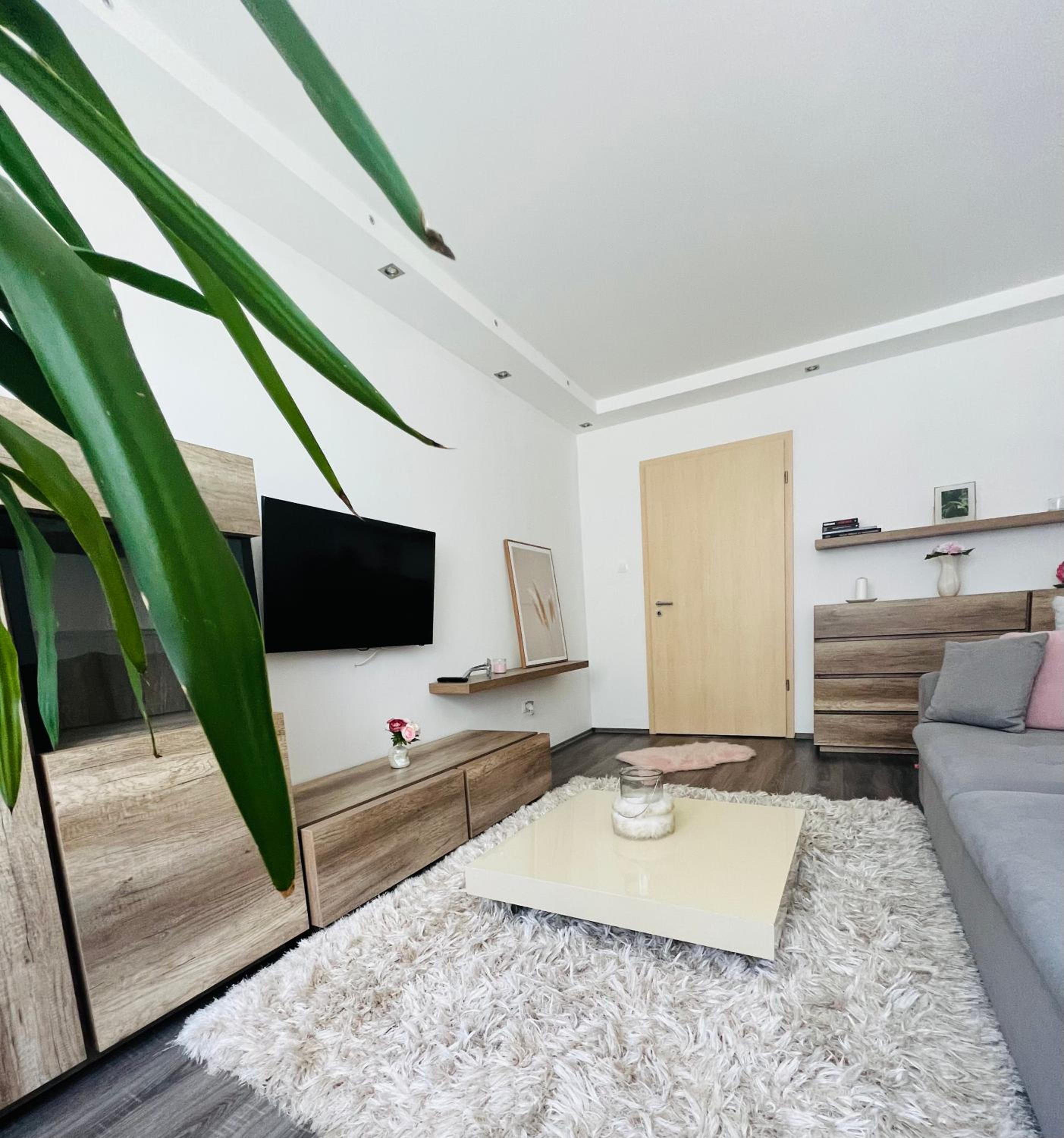 One-Bedroom Apartment photo 3
