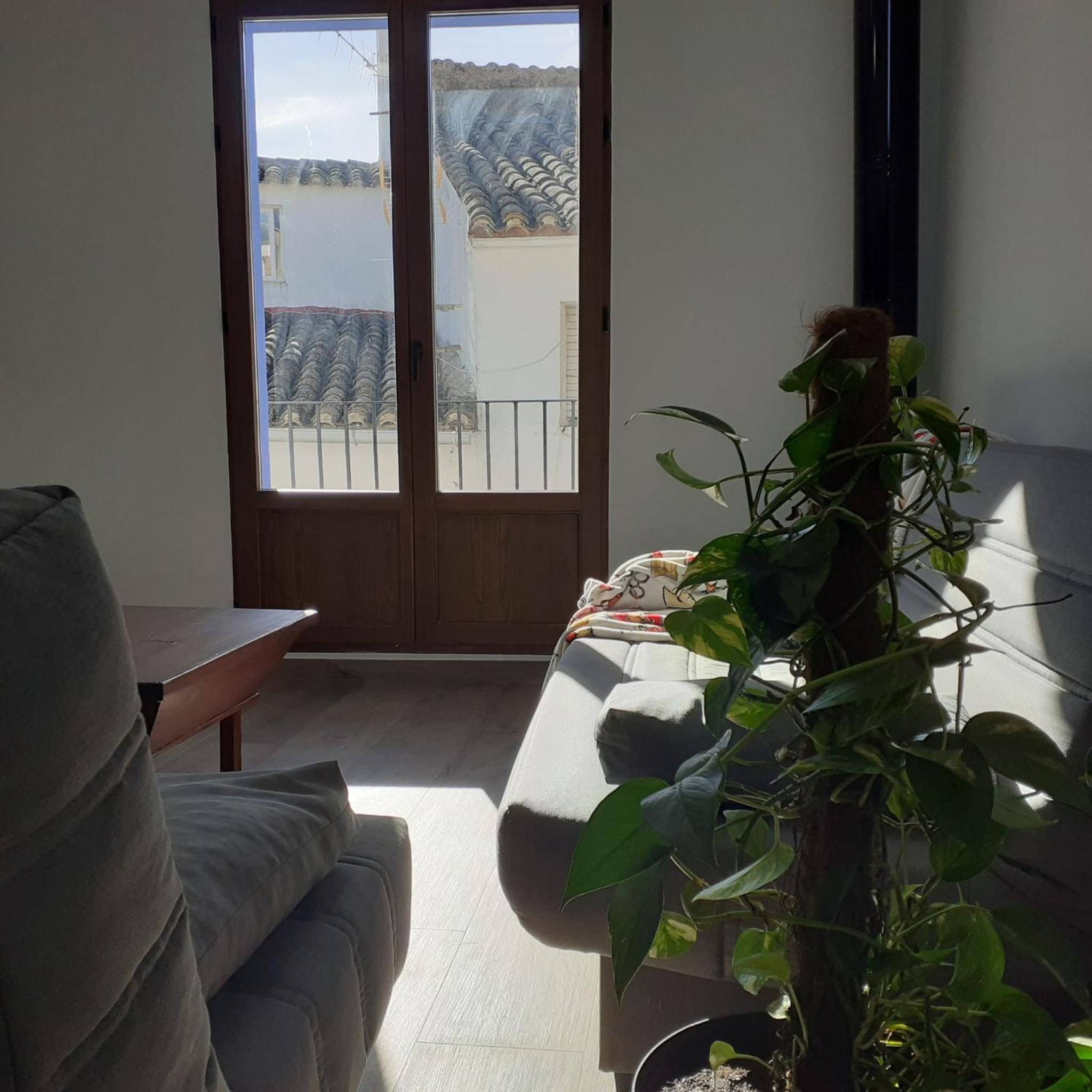 Three-Bedroom House photo 3