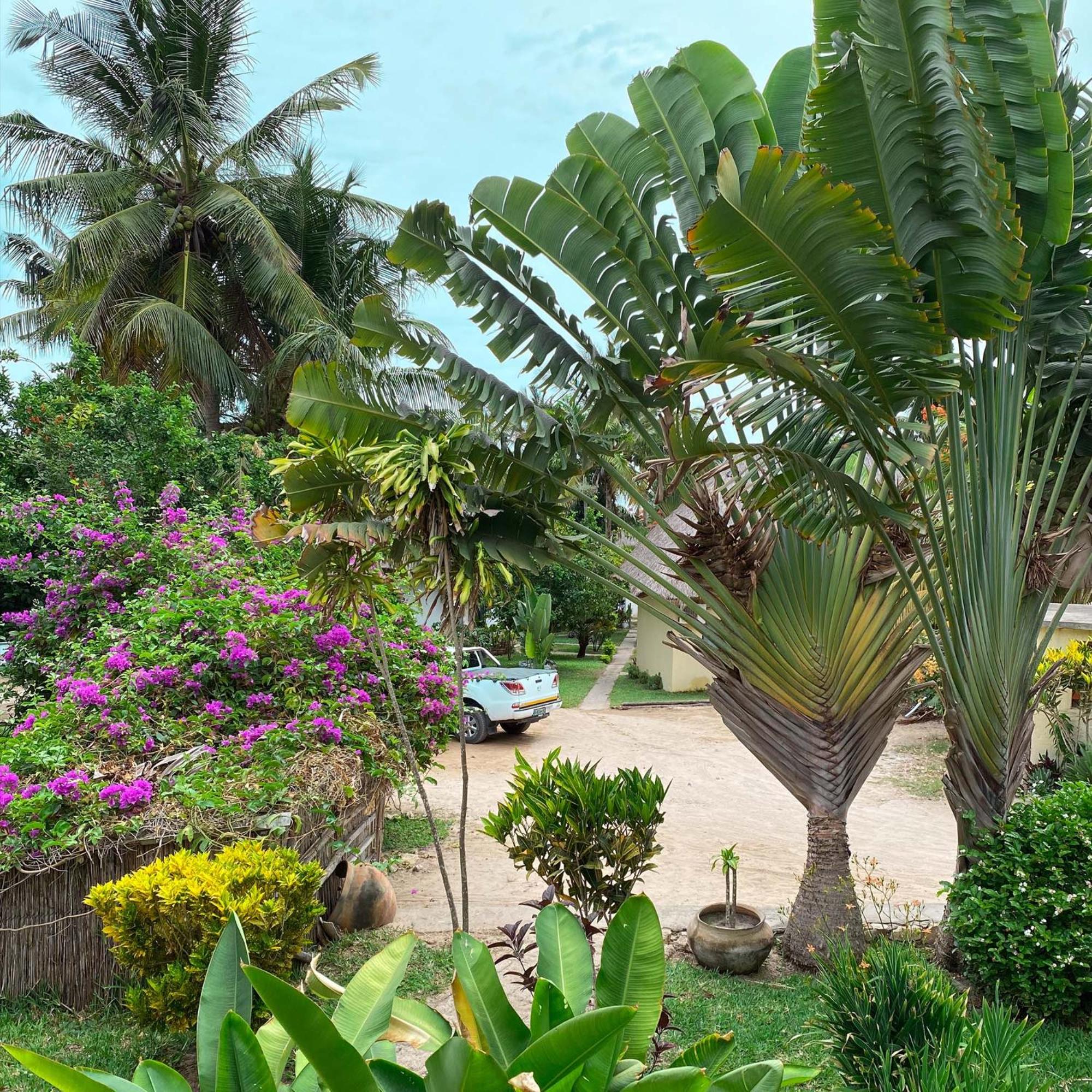 Deluxe Double Room with Balcony photo 3