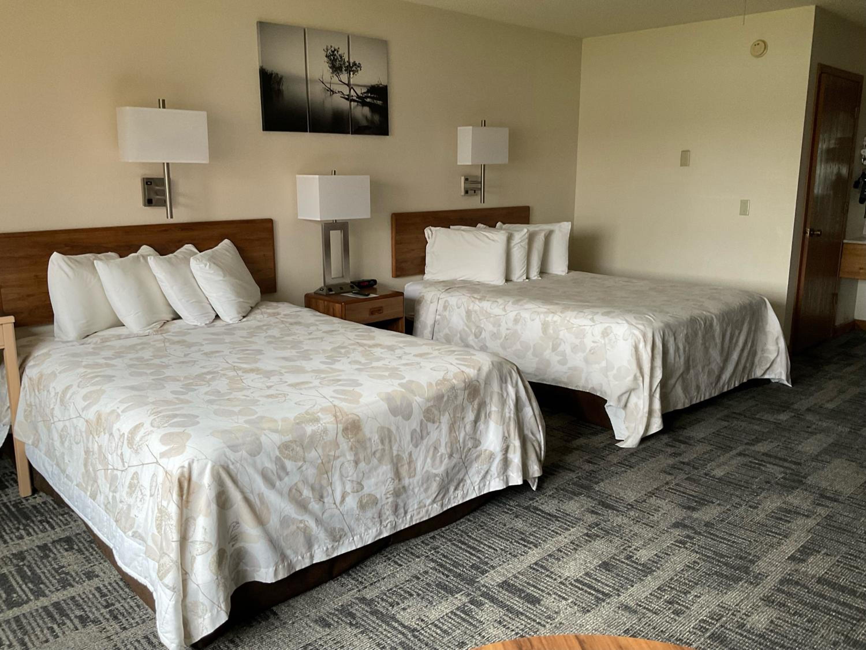 Deluxe Queen Room with Two Queen Beds photo 1