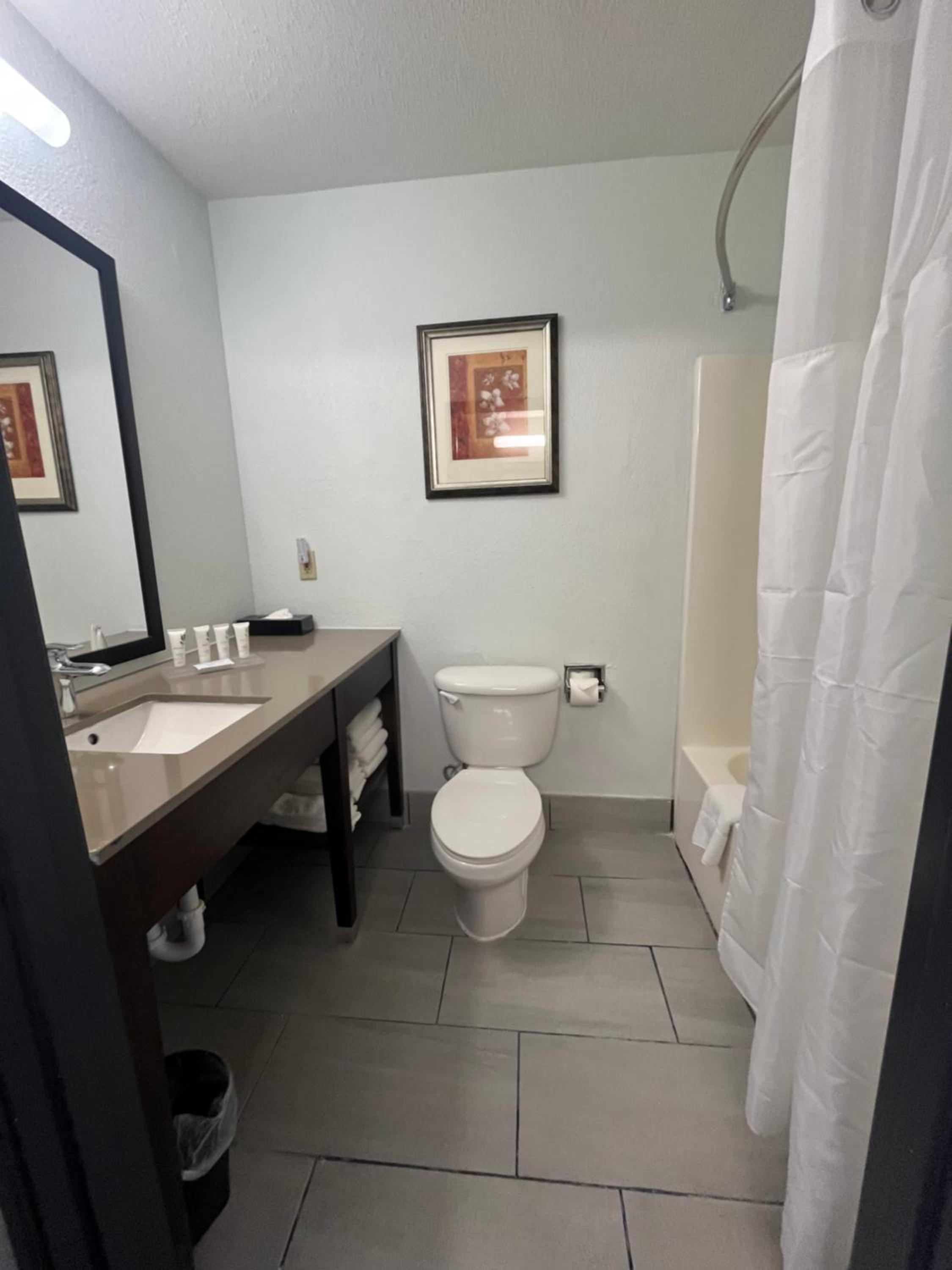 One-Bedroom King Suite - Non-Smoking - Photo 5