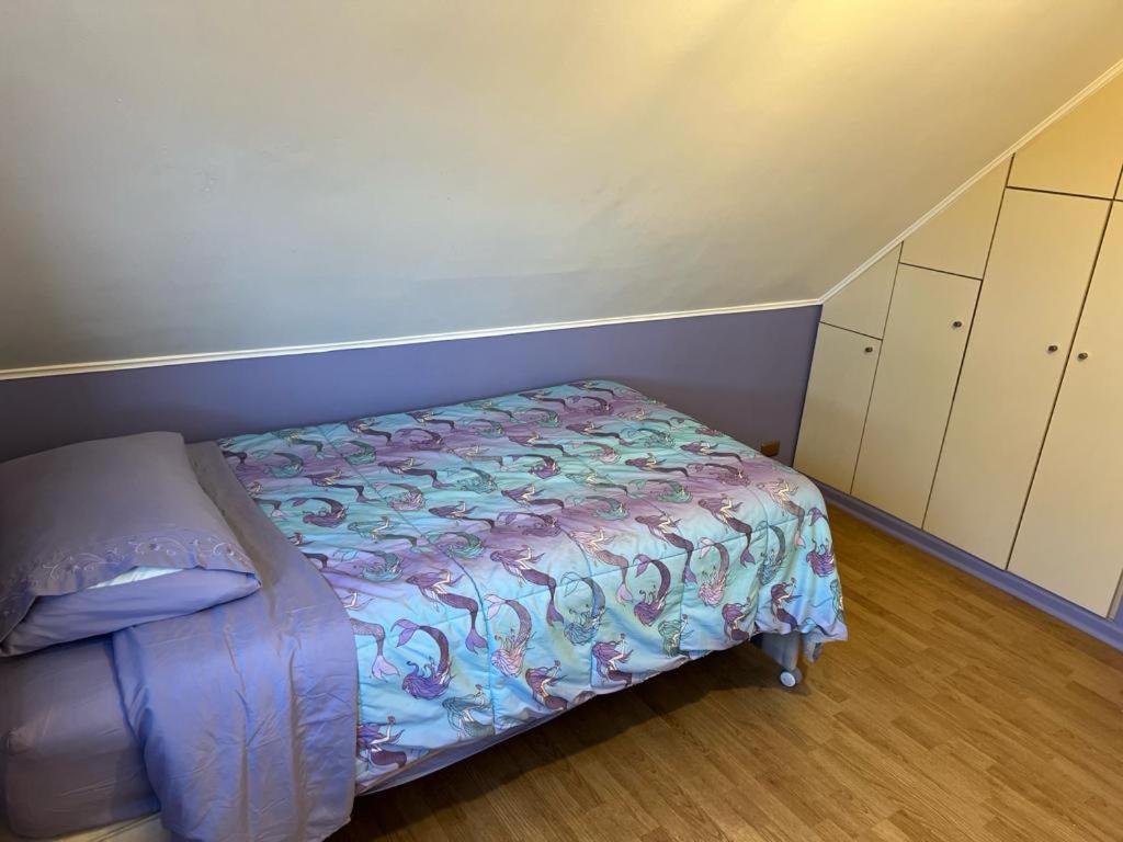 Single Room photo 1