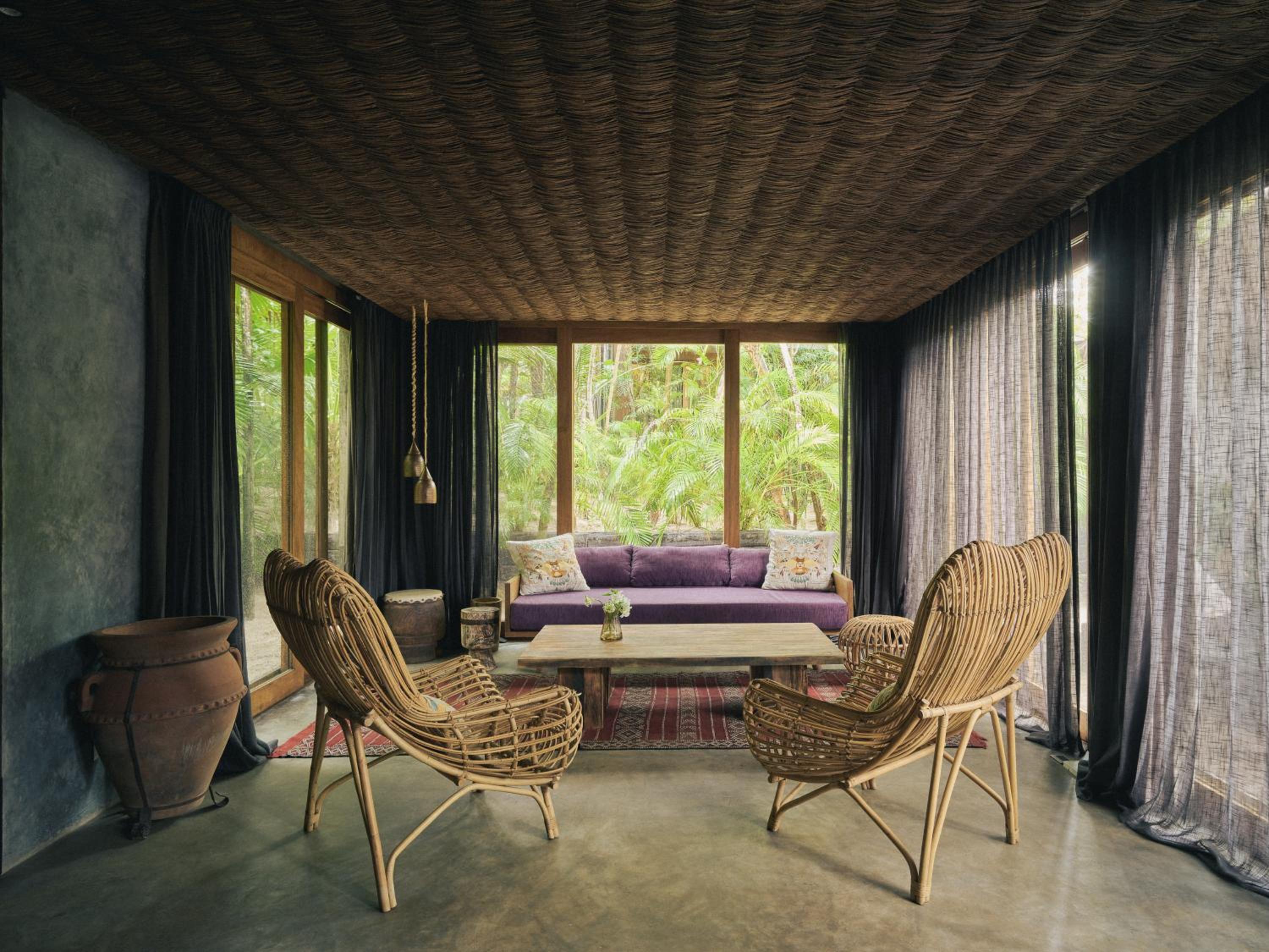 Premier Jungle Suite