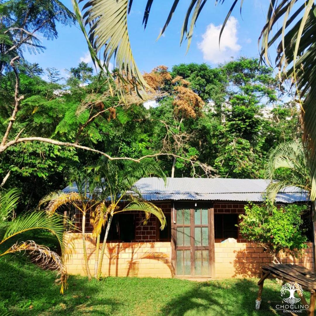 Family Bungalow photo 2