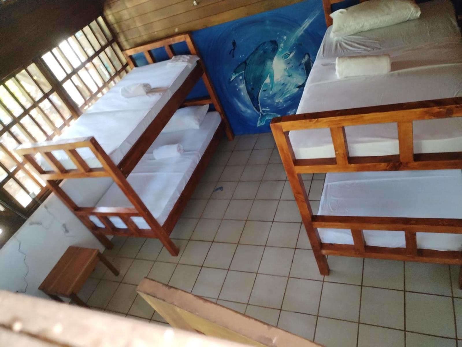 Bed In 4-Bed Mixed Dormitory Room photo 1